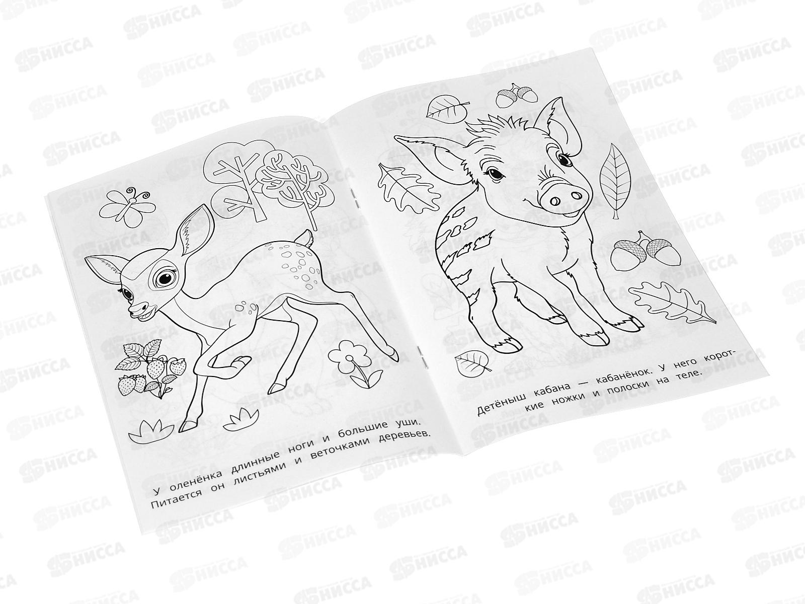 Раскраска &quotУМКА&quot 09699-3, Лесные животные, 145х210мм, 16стр.  *50