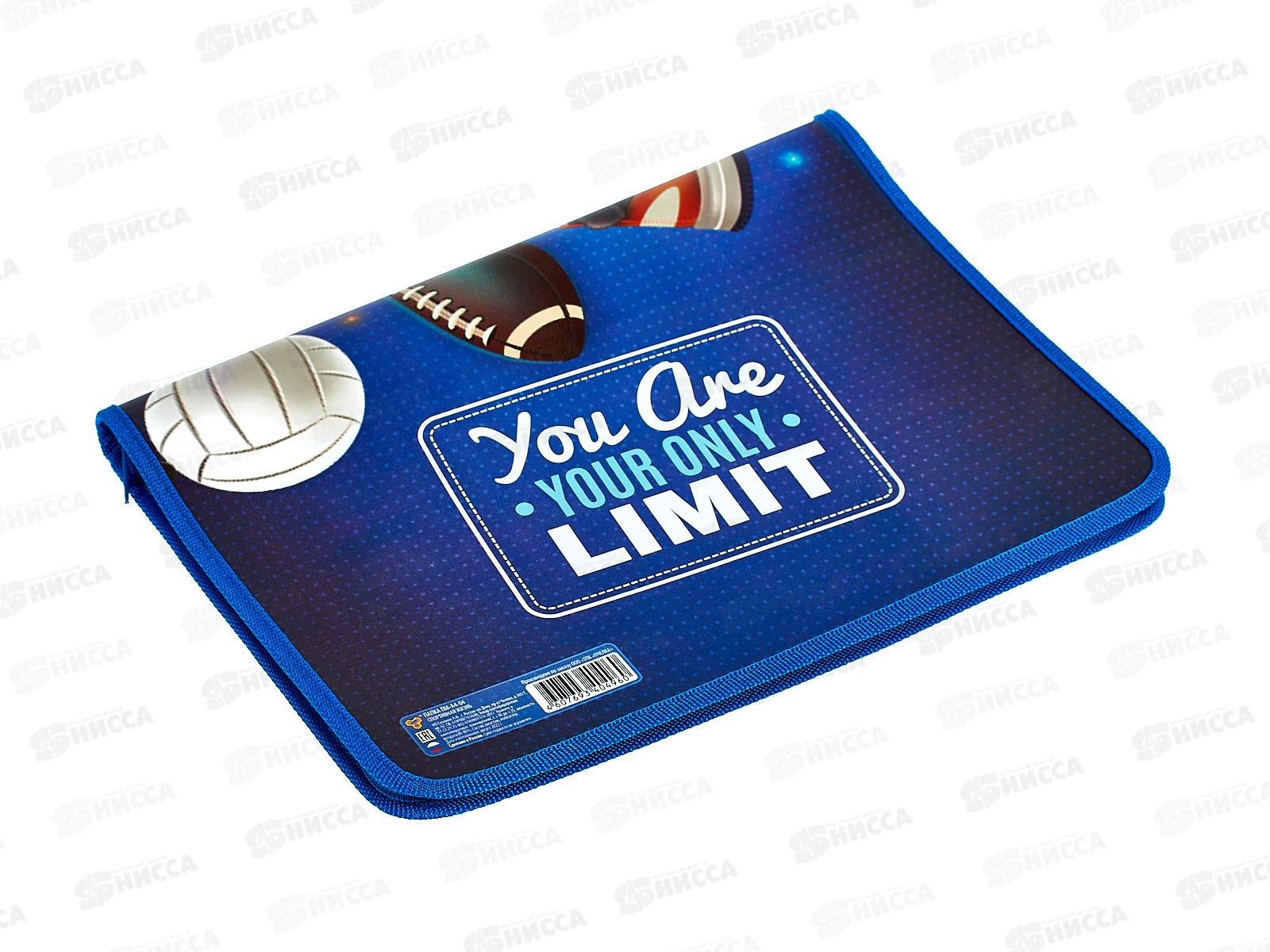 Папка д/тетр. ПЧЕЛКА А4 молн.вокруг, Спортивная жизнь, ПМ-А4-04 *50