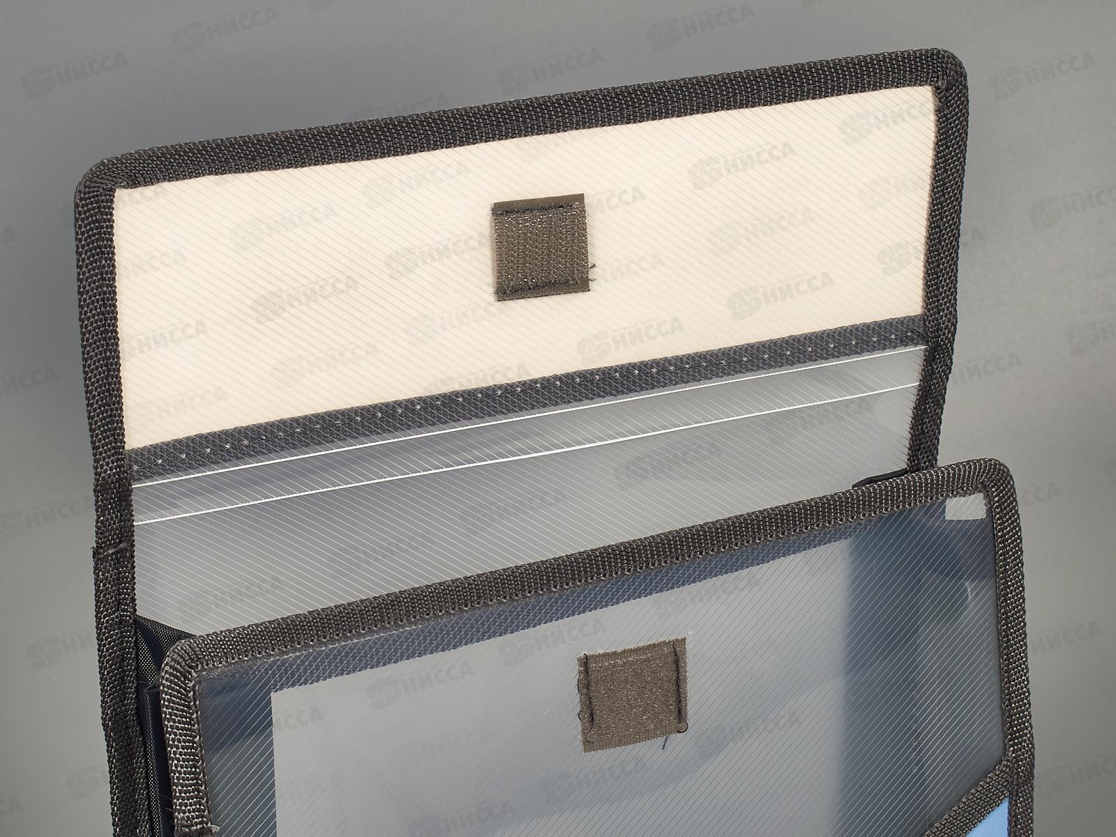 Папка д/тетр. ПЧЕЛКА А5 лип., Корги в кармане 2отд., ПМ-А5-36 *50