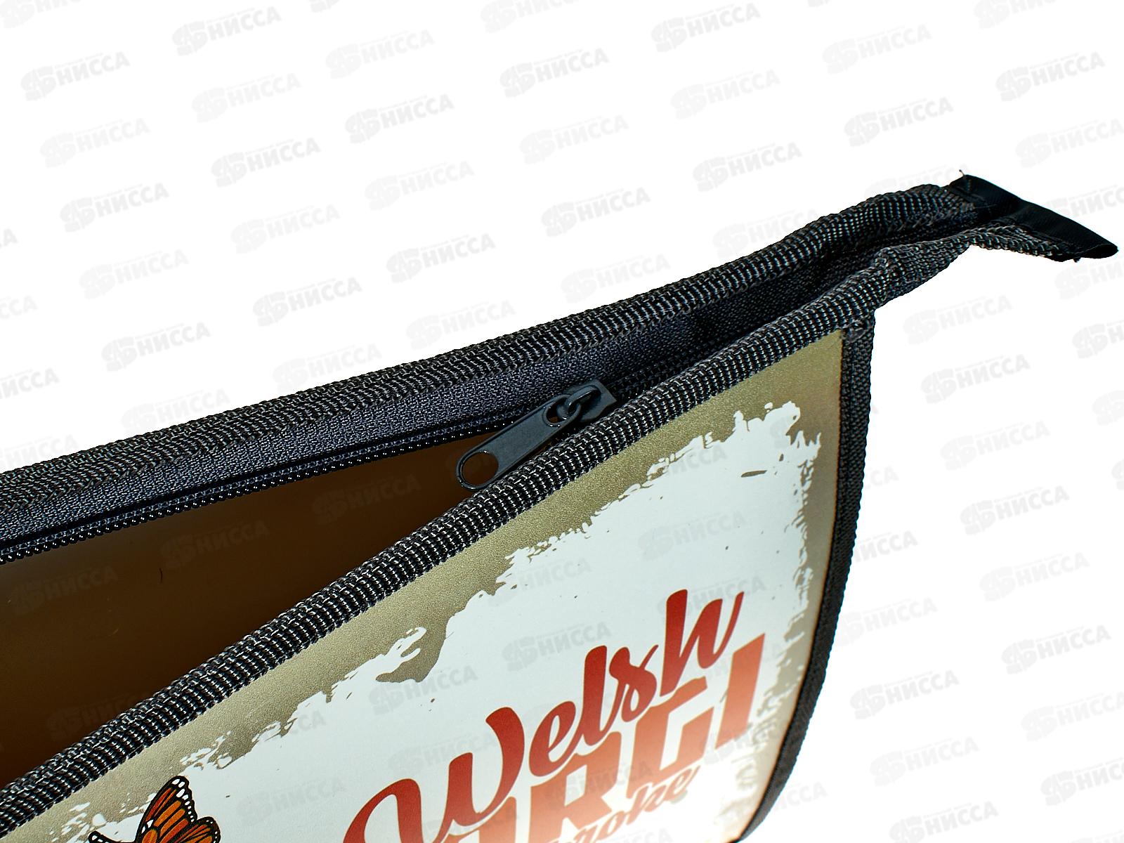 Папка д/тетр. ПЧЕЛКА А4 молния сверху Игривый щенок, ПМ-А4-29 *50