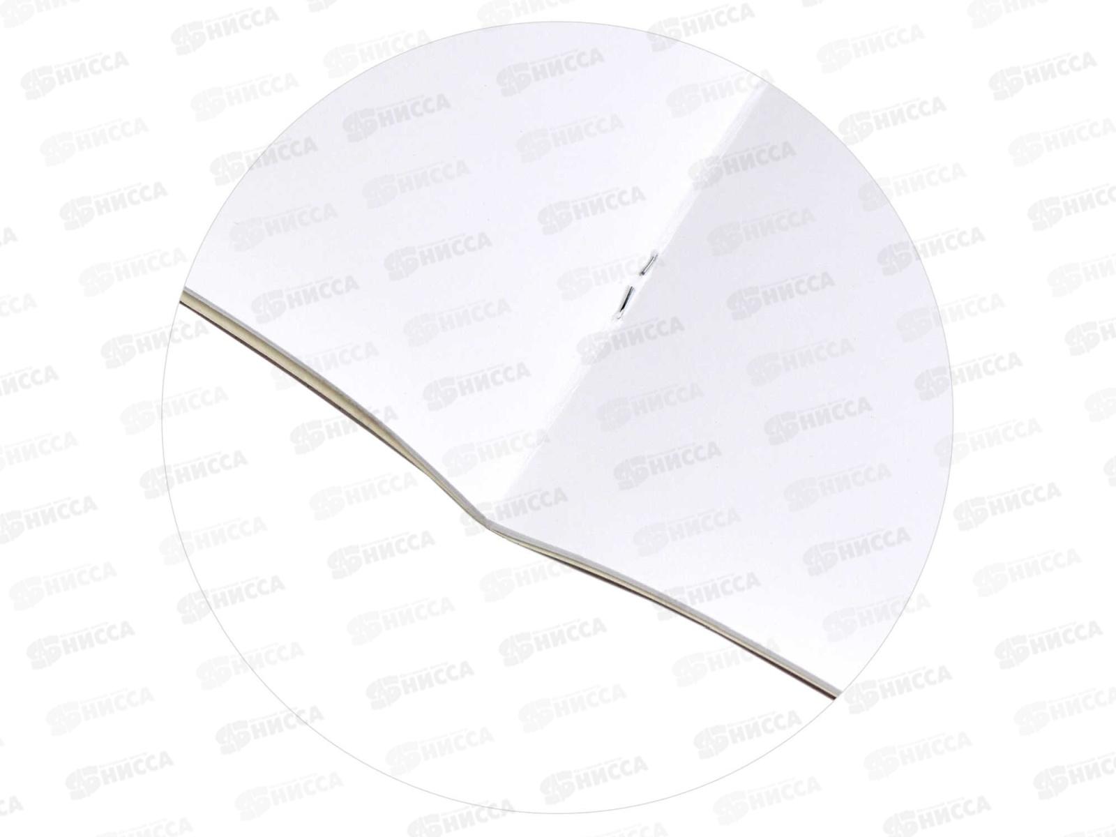 Альбом для рисования 12л ФЕН Девушка с катаной,66887*60