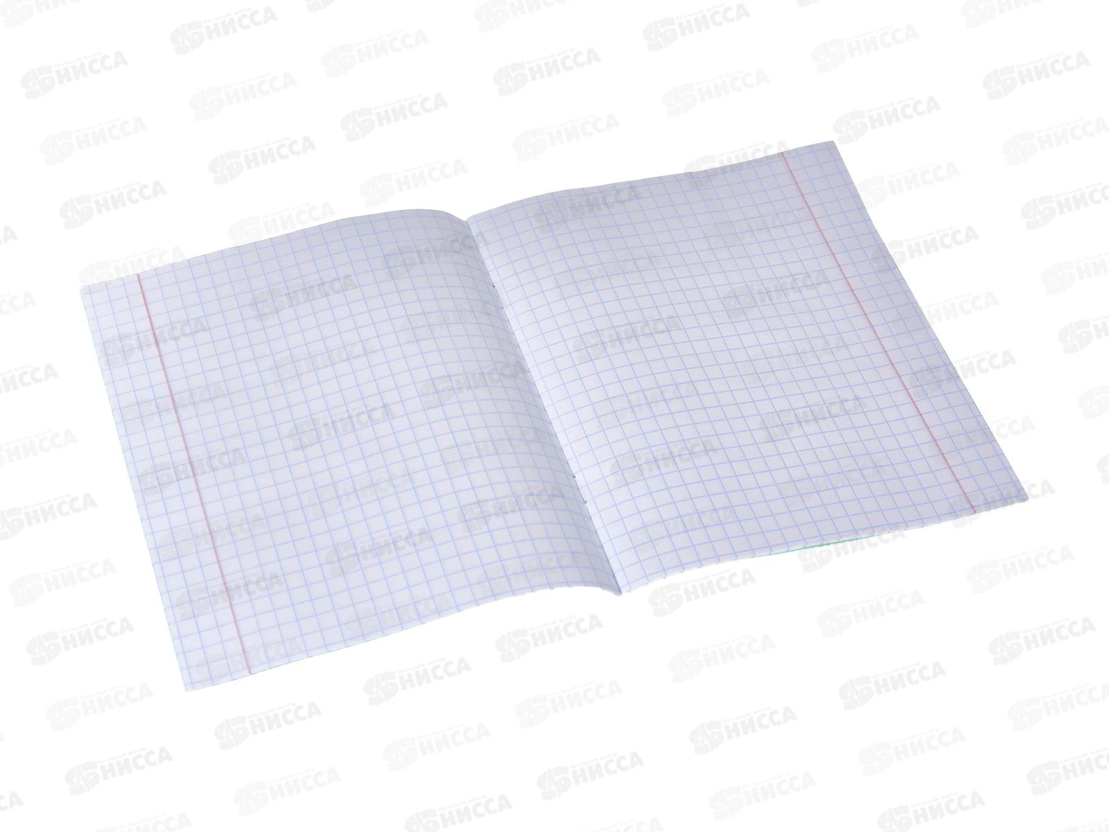 Тетрадь 12листов крупная клетка BG , 57424*240