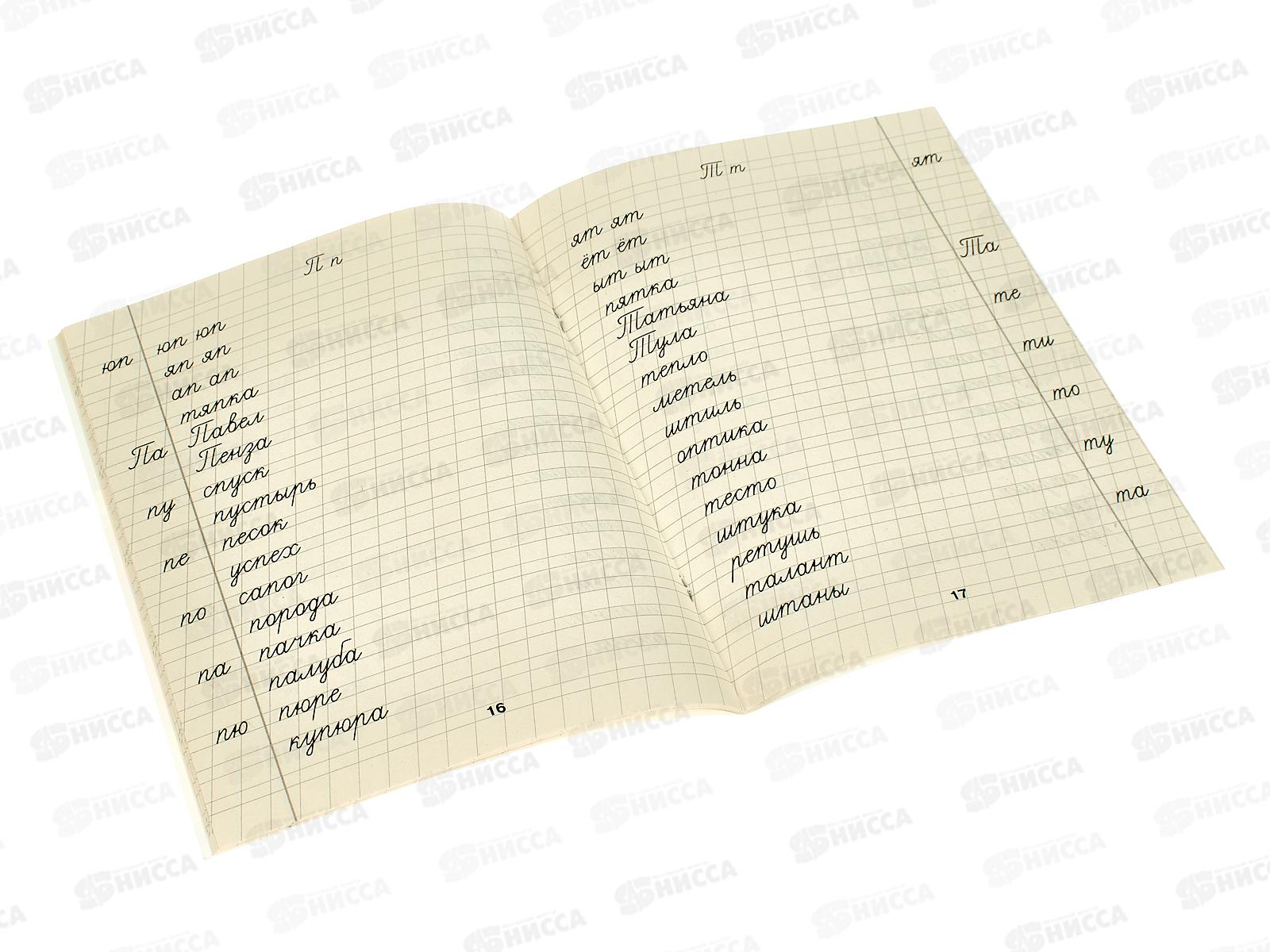 Прописи АСТ По русскому языку. Учимся писать слоги и слова, 1282-5  *30