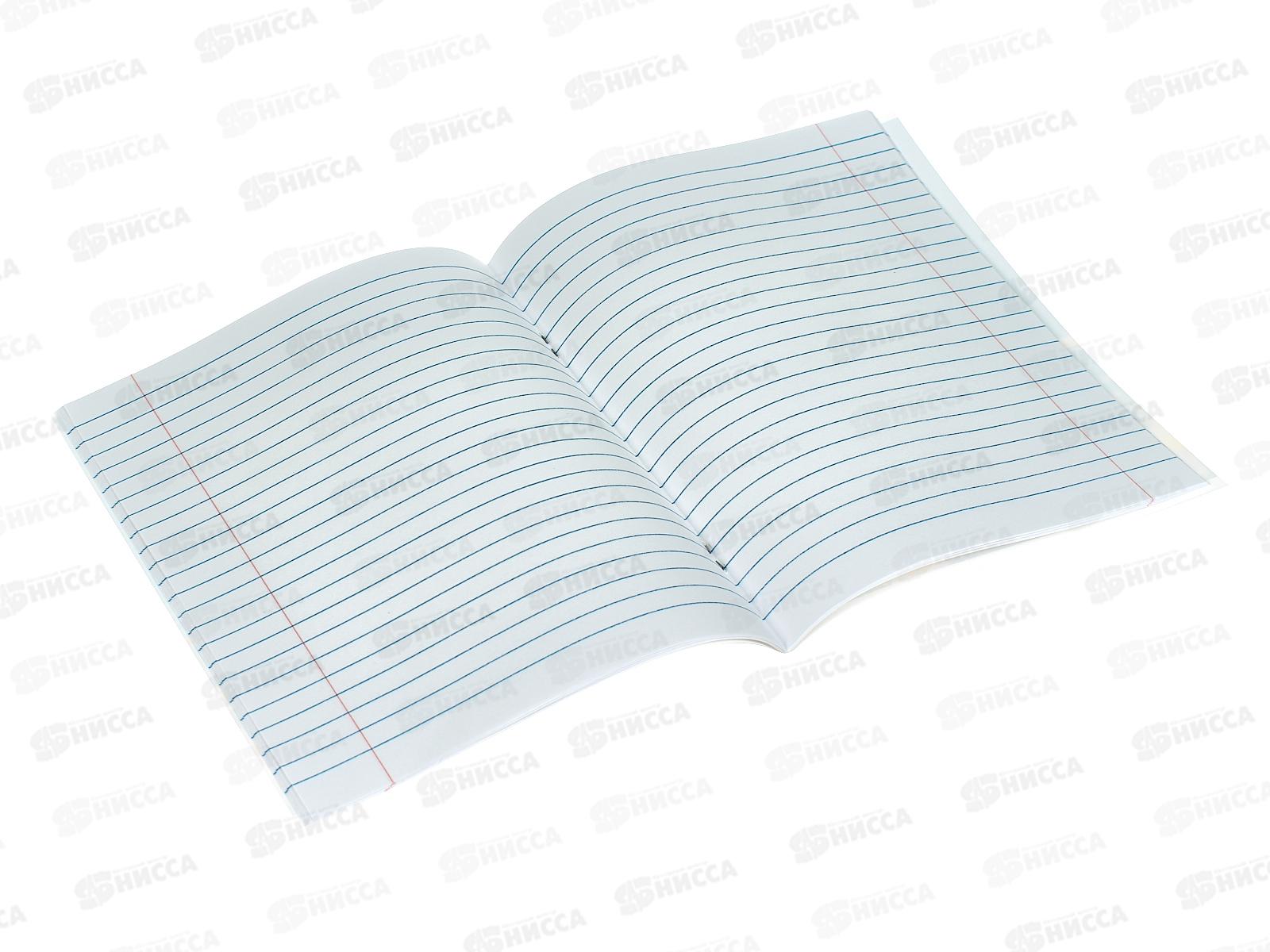 Тетрадь 24листа линия  Апплика Ассорти 10диз, С9847*10/160