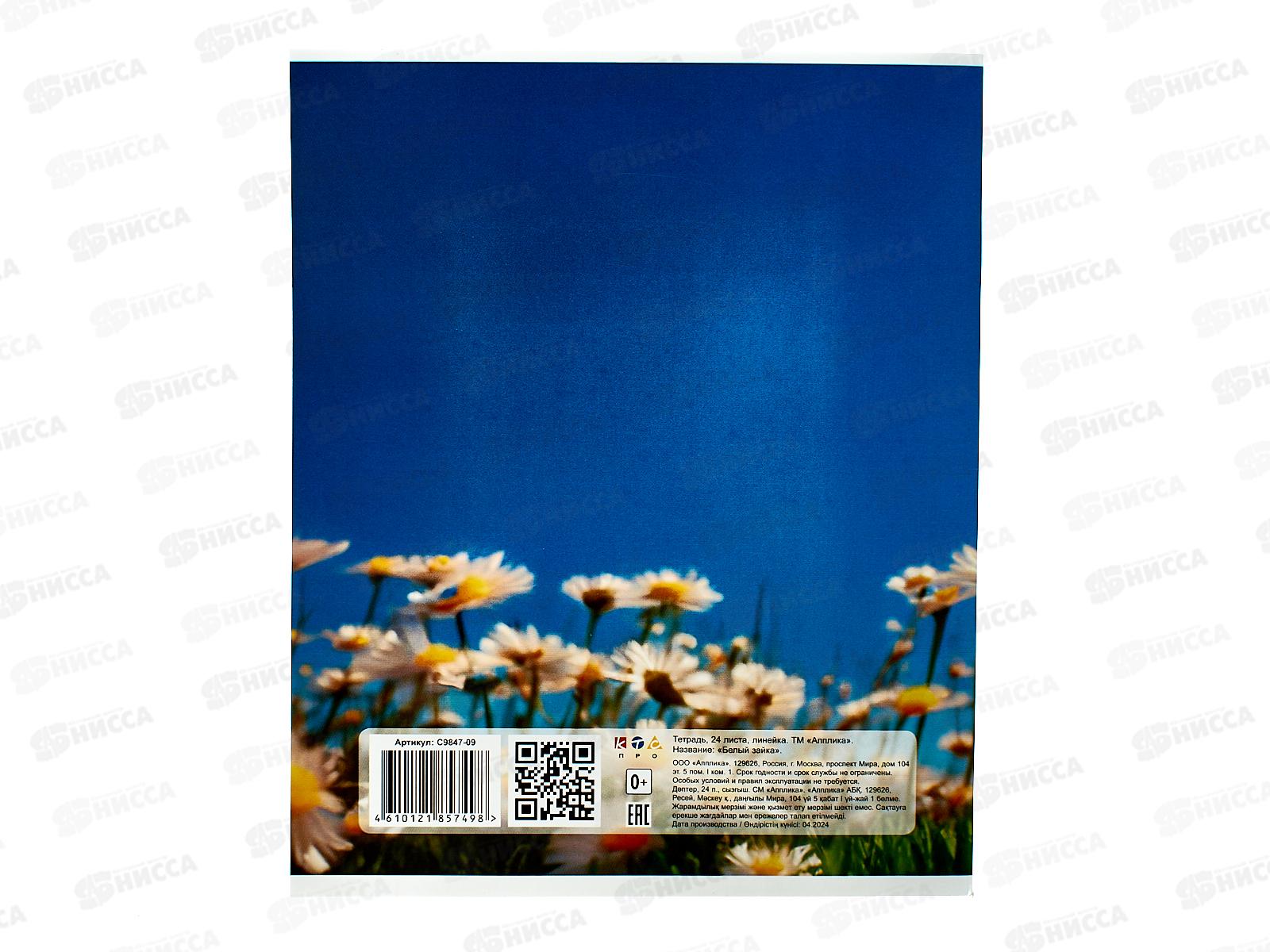 Тетрадь 24листа линия  Апплика Ассорти 10диз, С9847*10/160