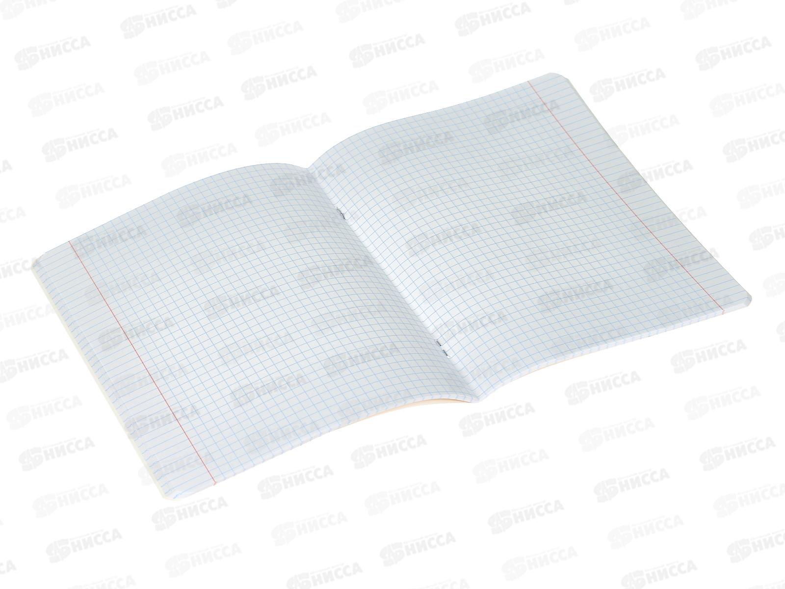 Тетрадь 48листов клетка  Hatber Прекрасные мгновения,087247*5/100