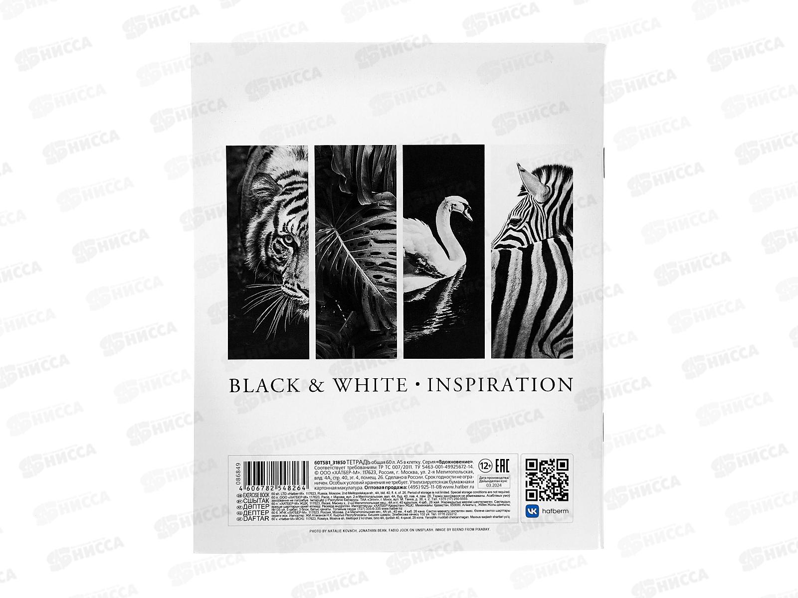 Тетрадь 60листов клетка Hatber Вдохновение,086849 *8/80