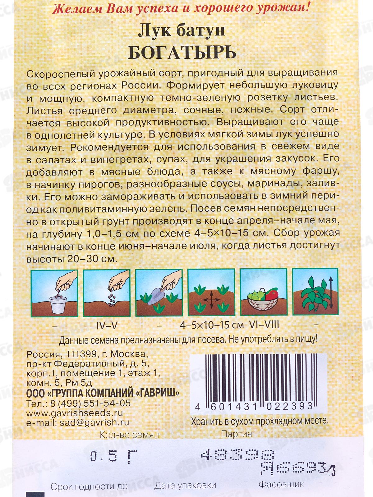 Лук на зелень Богатырь 0,5г автор  *20 ГШ +