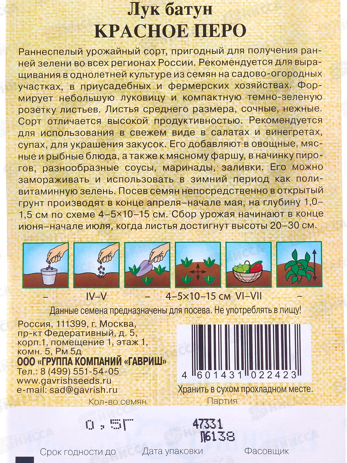 Лук на Зелень Красное перо 0,5г автор  *20 ГШ +
