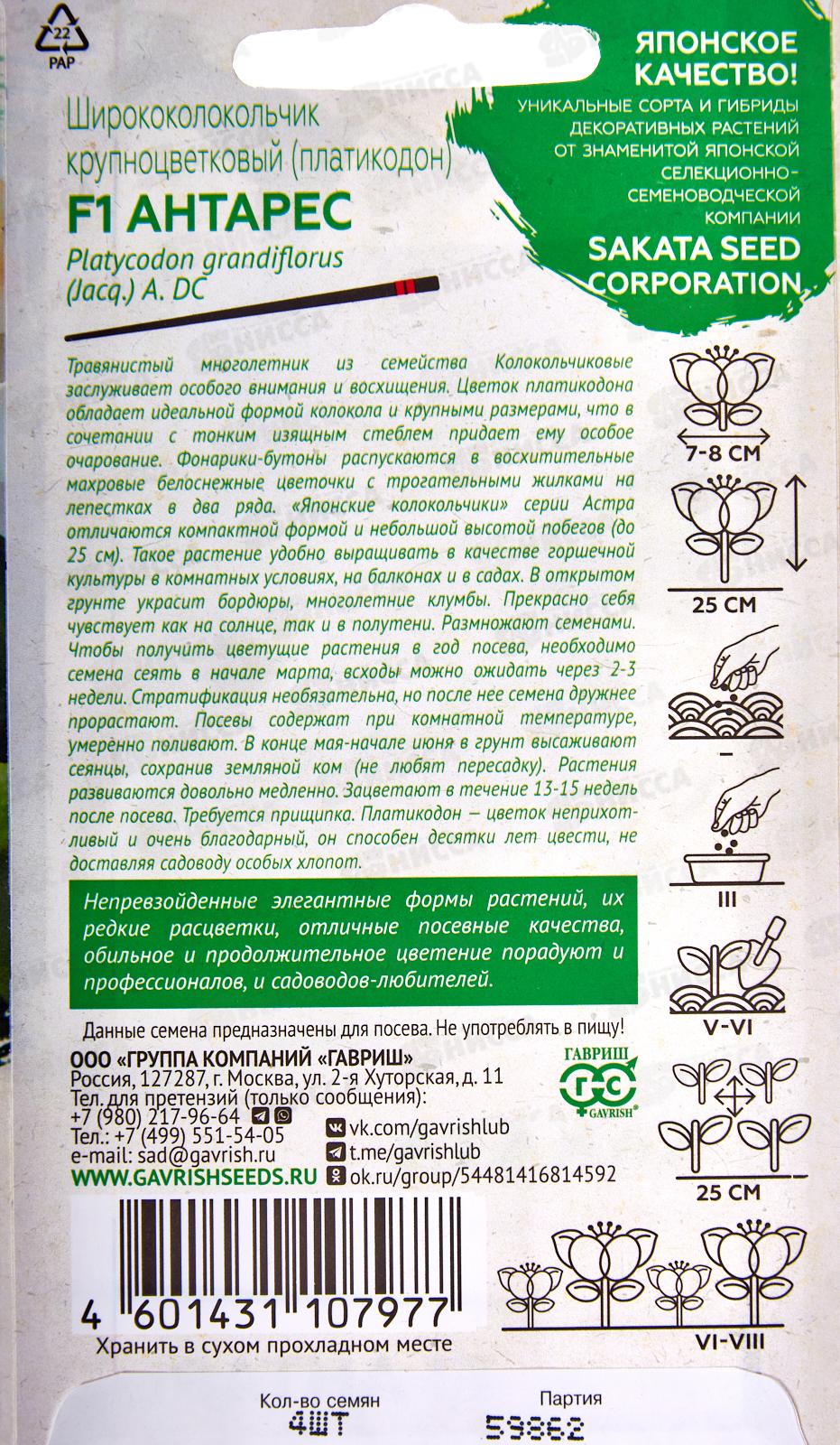 Ширококолокольчик Антарес крупн F1 4шт Н21 *10 ГШ + СРОК ДО 12.25
