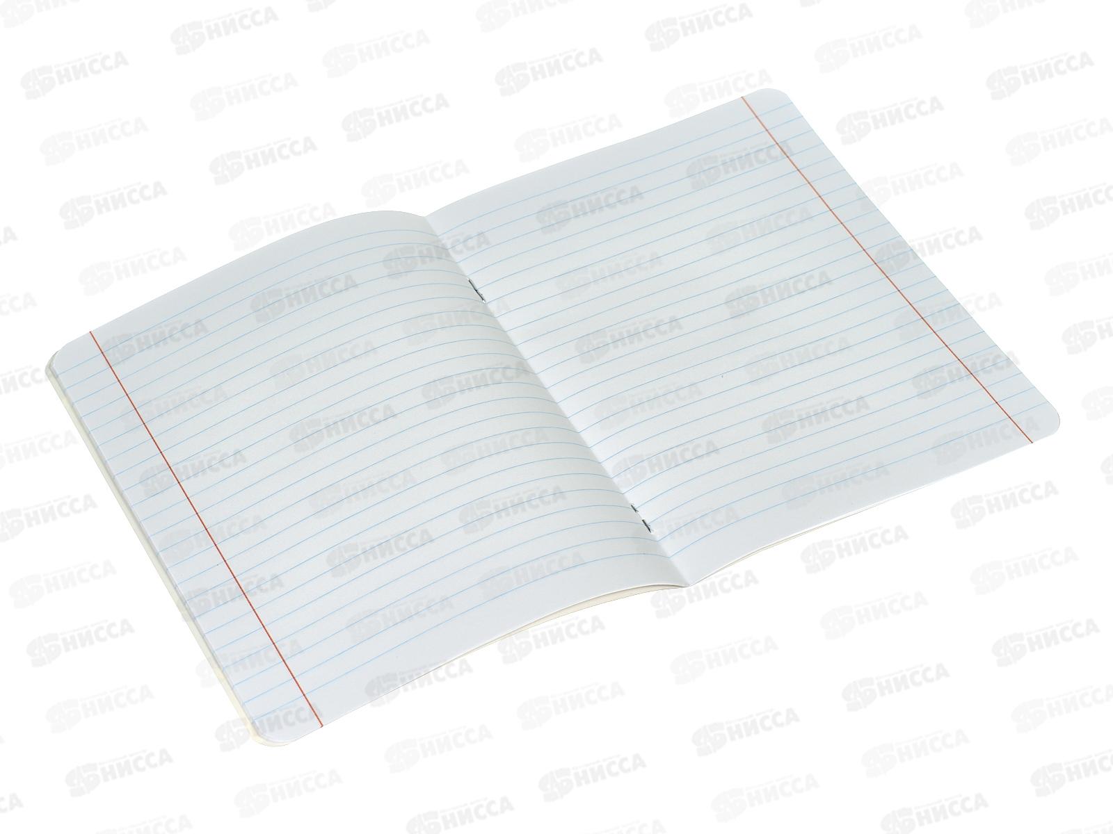 Тетрадь 12листов линия CENTRUM Девочка Аниме 72018 *25/250