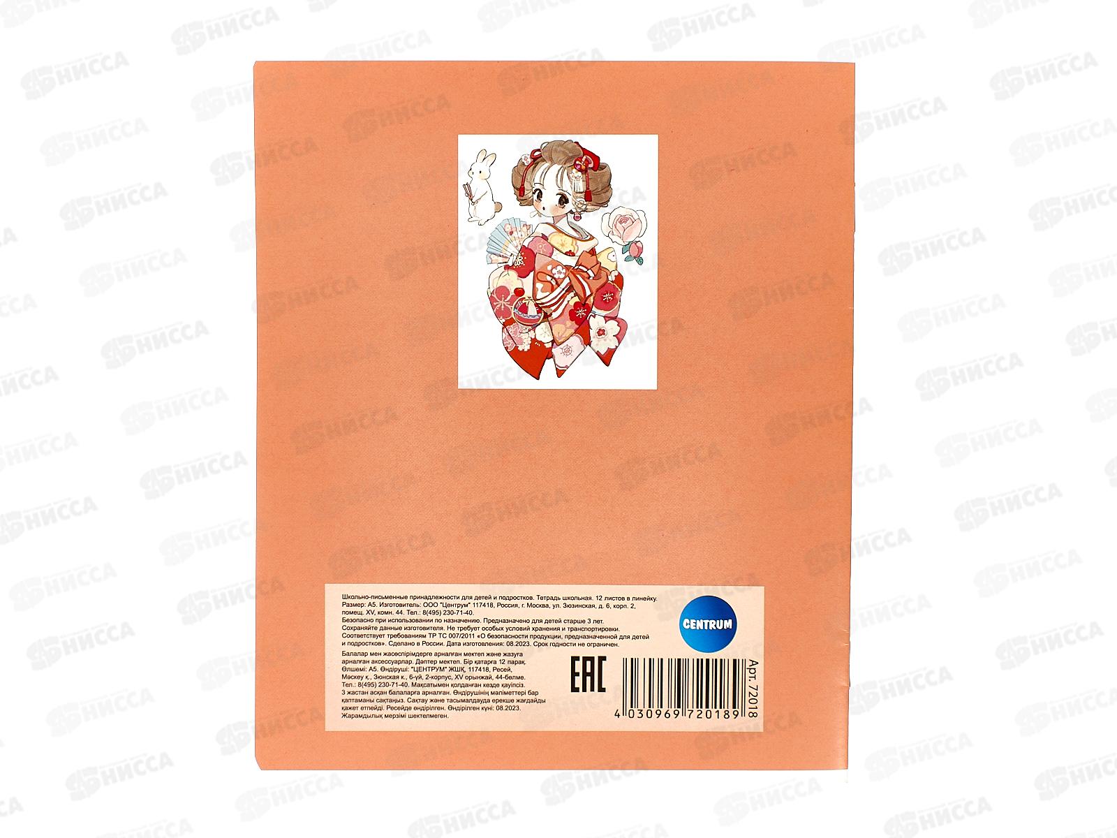 Тетрадь 12листов линия CENTRUM Девочка Аниме 72018 *25/250