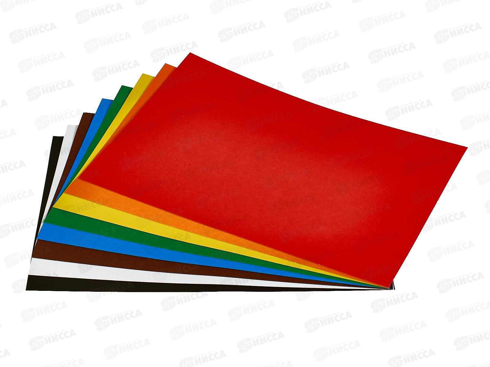 Цветной картон. Centrum 8л. 8цв.Котик в цветах 75027 *30