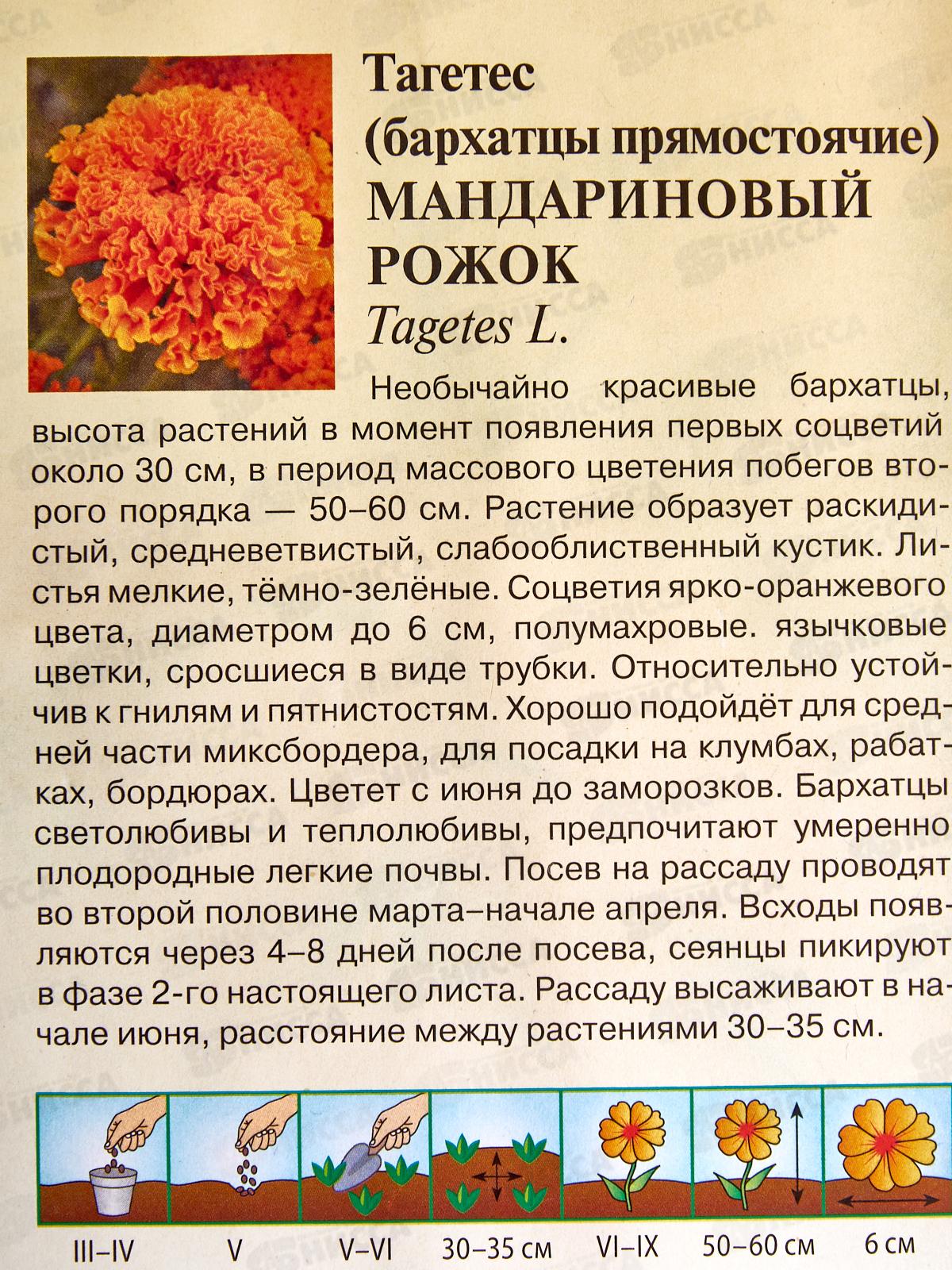 Бархатцы пр. Мандариновый рожок (Тагетес) 0,05г Н22 *10 ГШ