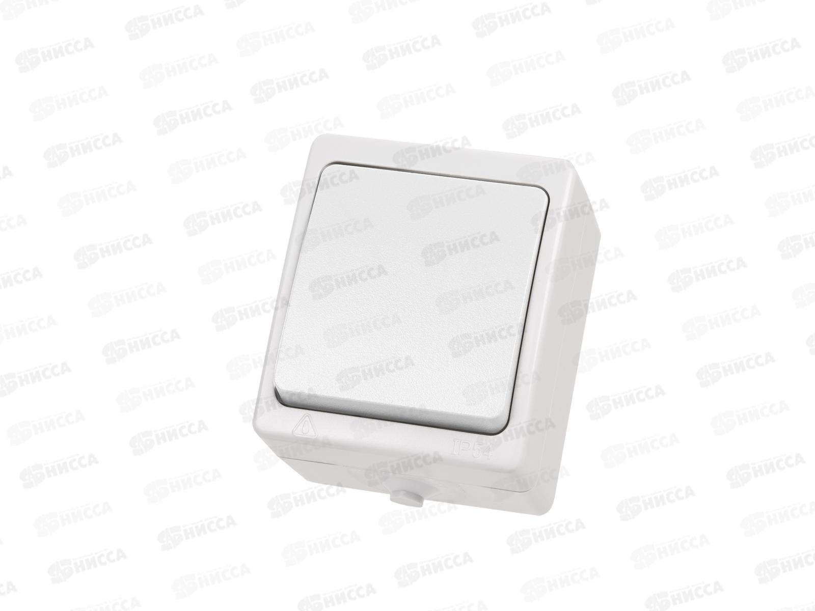 Выключатель TDM 1-клавиша, открытая установка, IP54 10А &quotВуокса&quot белый 1001