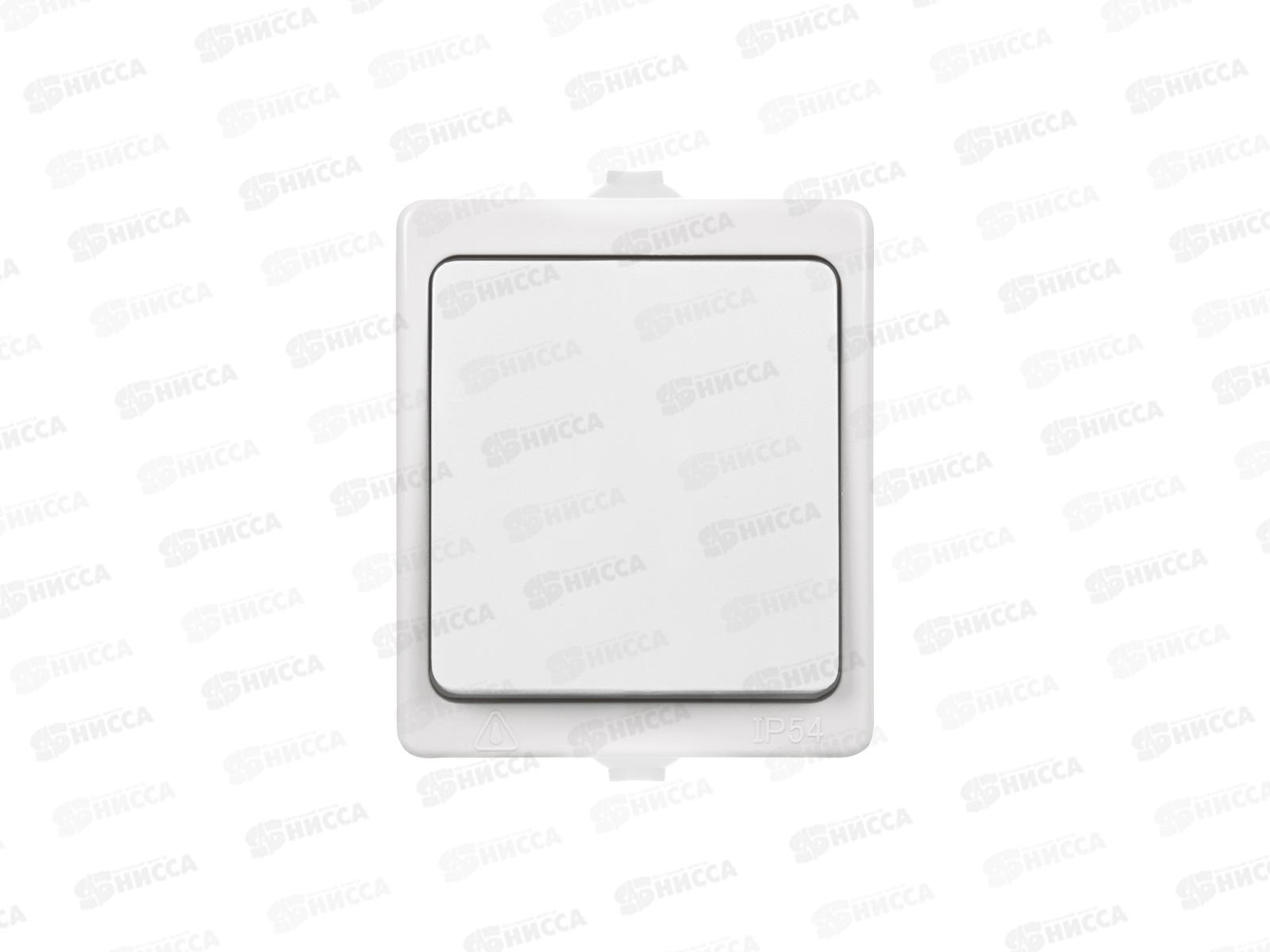 Выключатель TDM 1-клавиша, открытая установка, IP54 10А &quotВуокса&quot белый 1001