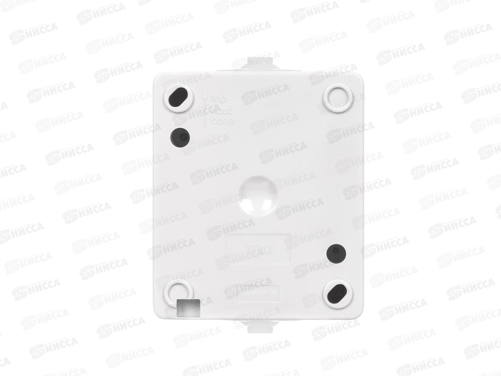 Выключатель TDM 1-клавиша, открытая установка, IP54 10А &quotВуокса&quot белый 1001