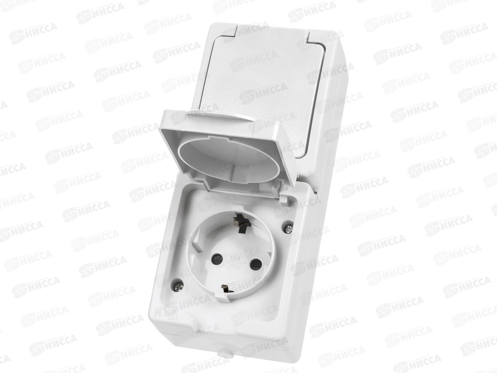 Розетка TDM двойная, открытой установки, (верт.), IP54 16А &quotВуокса&quot 2П+3 1009