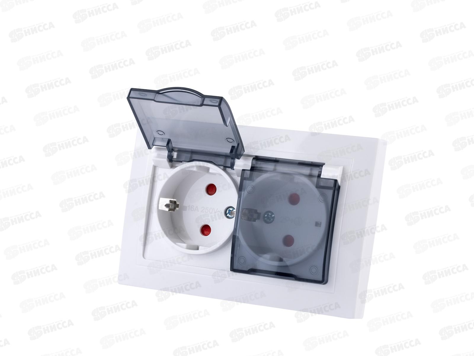 Розетка TDM двойная 2П+З с защитной шторкой, 16А с прозр крышкой 250B IP44 бел 0077