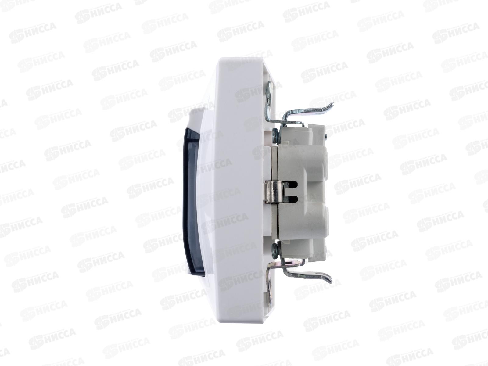 Розетка TDM двойная 2П+З с защитной шторкой, 16А с прозр крышкой 250B IP44 бел 0077