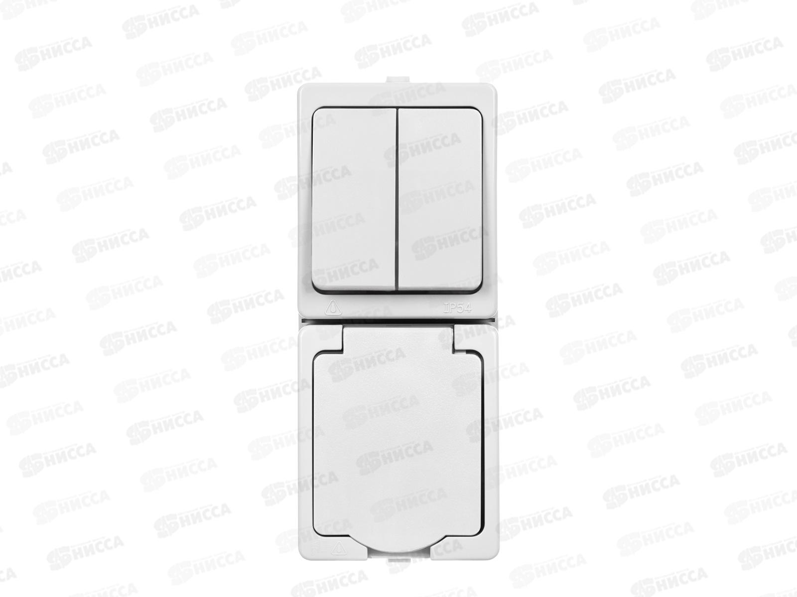 Блок выключатель 2кл вертикальный+розетка 2П+З с з/ш БКВР TDM 1013