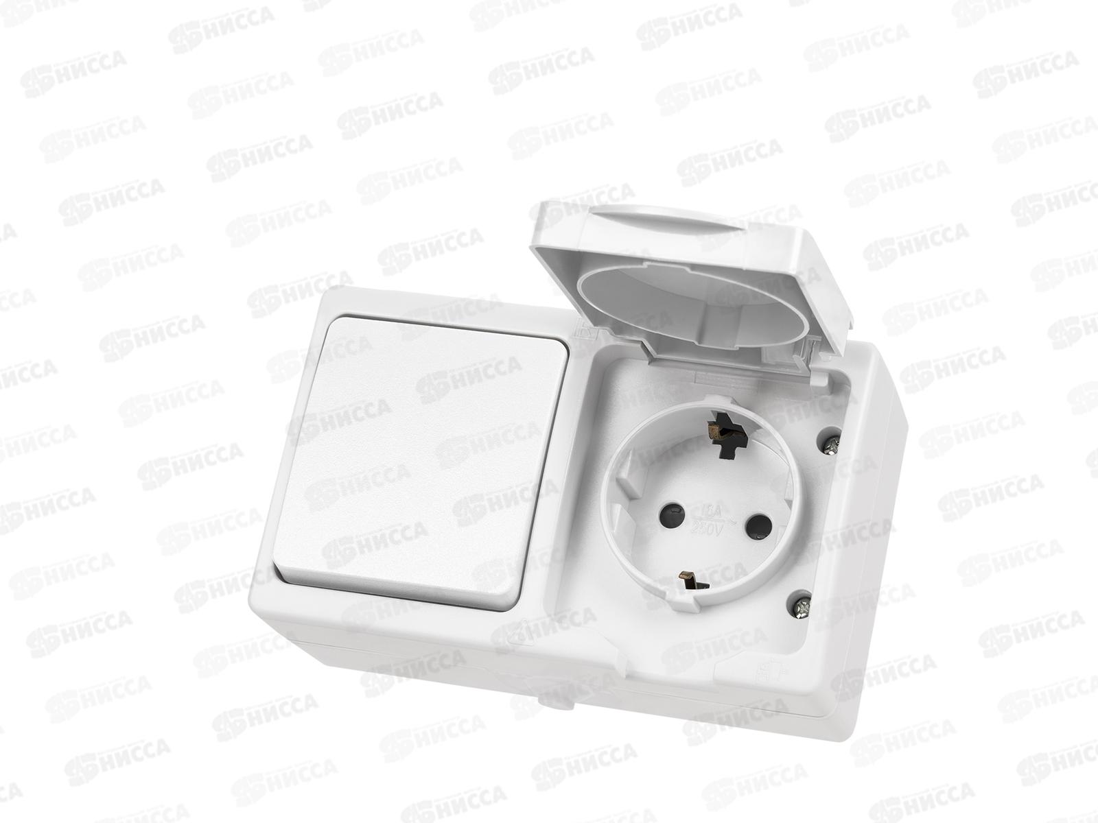 Блок выключатель 1кл горизон+розетка 2П+З с з/ш БКВР TDM 1010