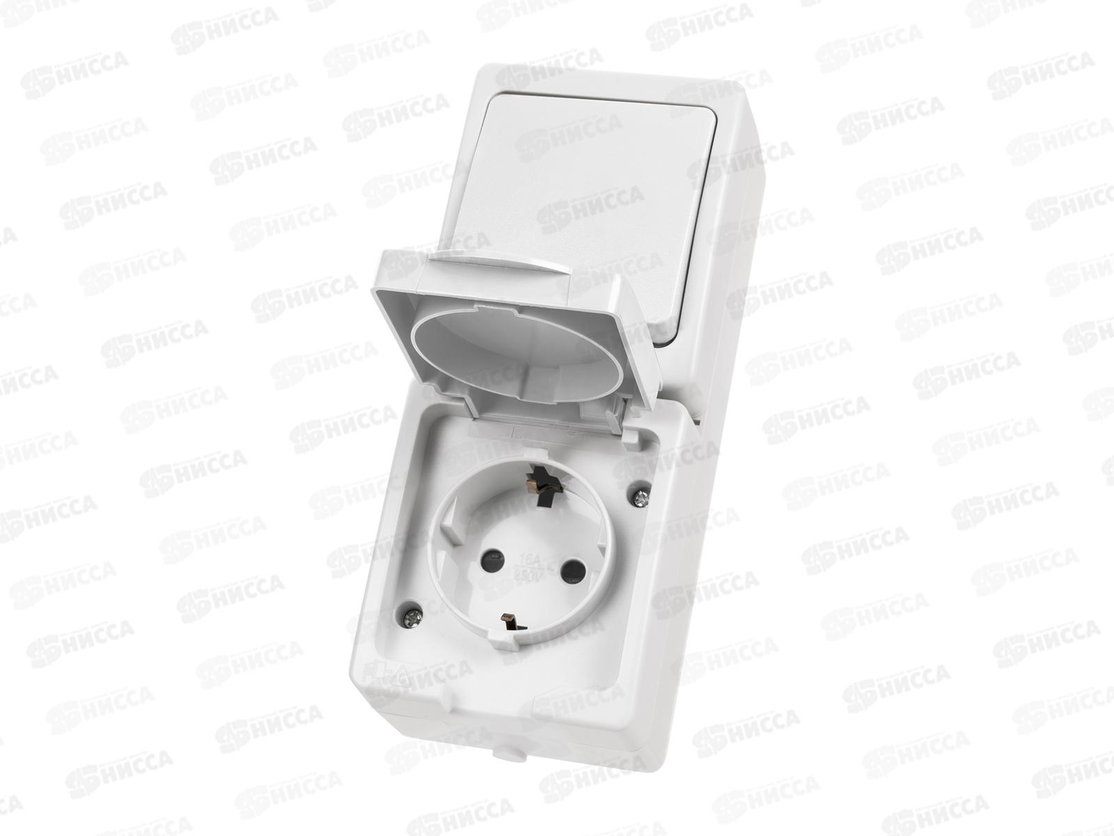 Блок выключатель 1кл вертикальный+розетка 2П+З с з/ш БКВР TDM 1011