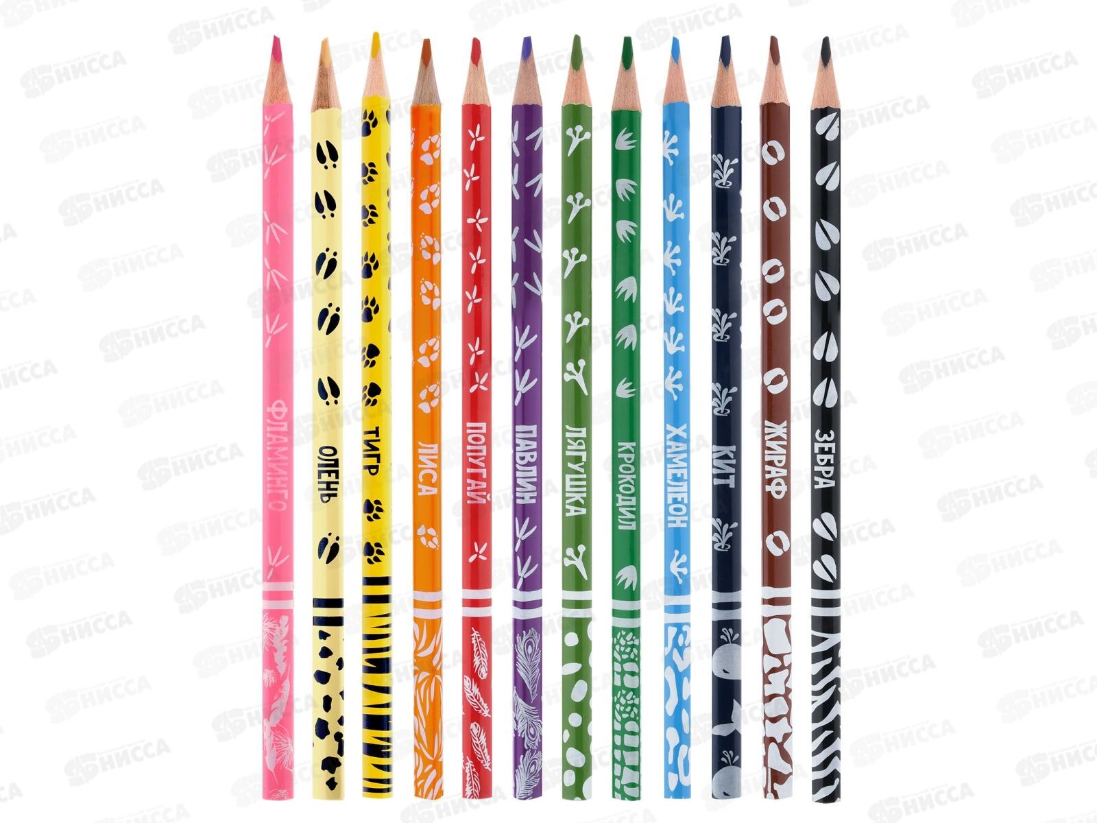 Карандаши 12 цветов Каляка-Маляка,Зоопарк, трехгранные, КТПКМ12*12/240