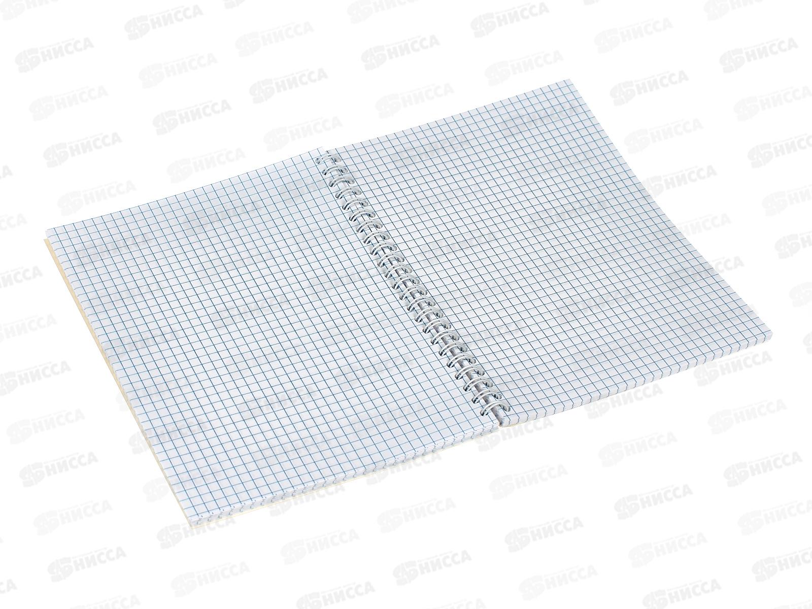 Тетрадь 96листов клетка  Апплика  Аниме Девочки, греб. С00262-113 *40