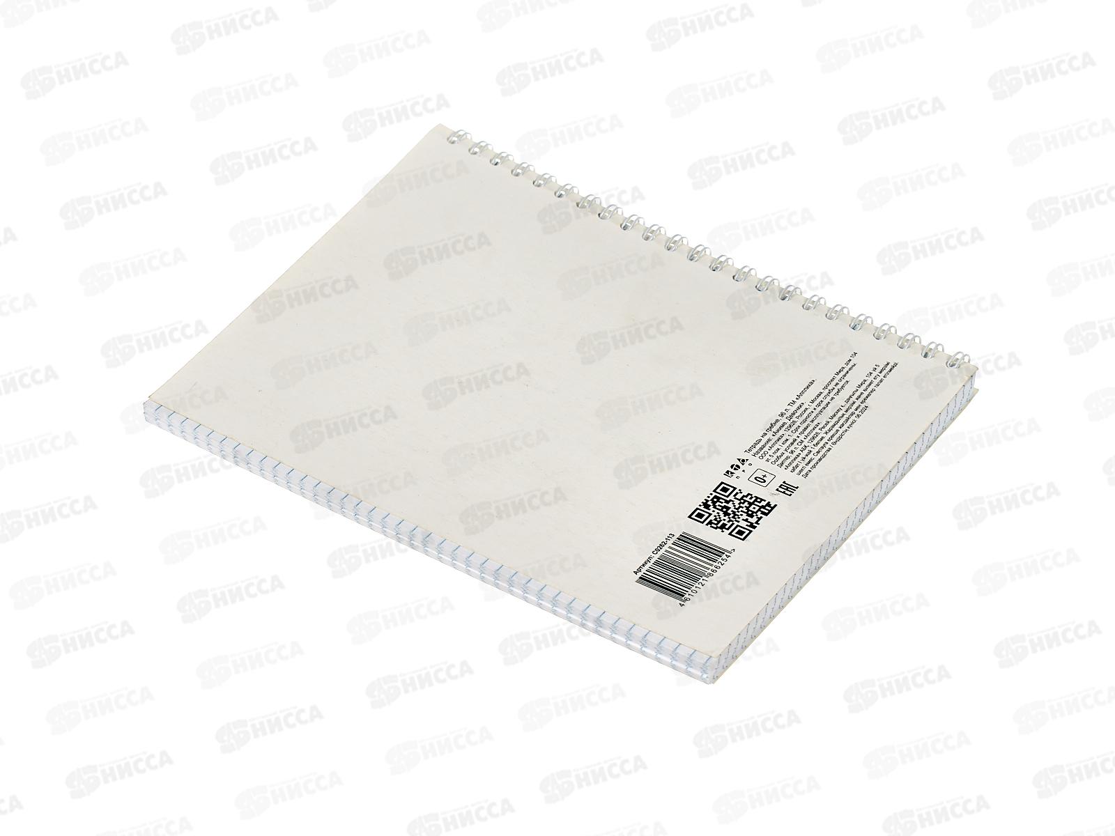 Тетрадь 96листов клетка  Апплика  Аниме Девочки, греб. С00262-113 *40