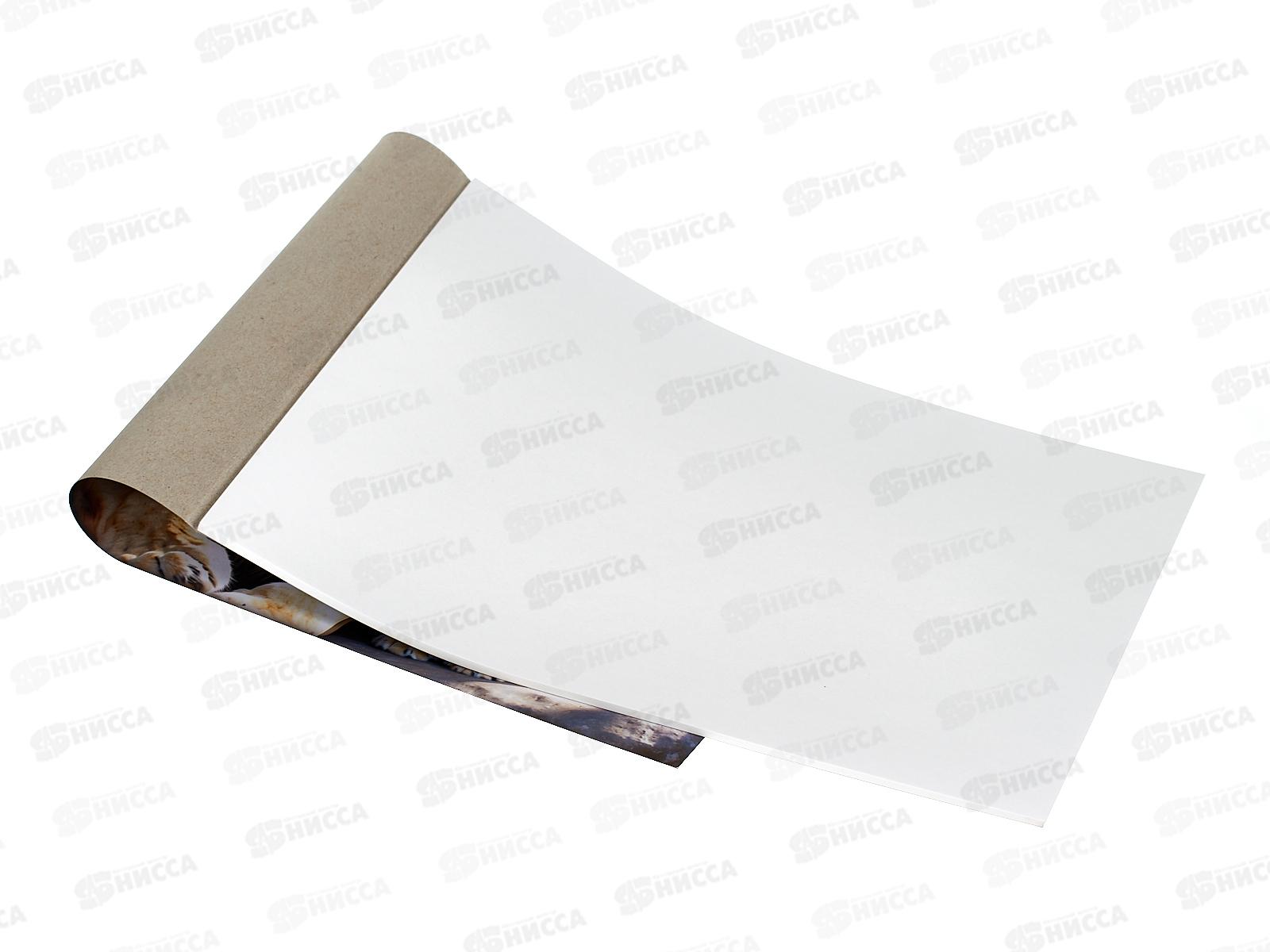 Альбом д/рис.32л ПГС Животный мир 1 *20