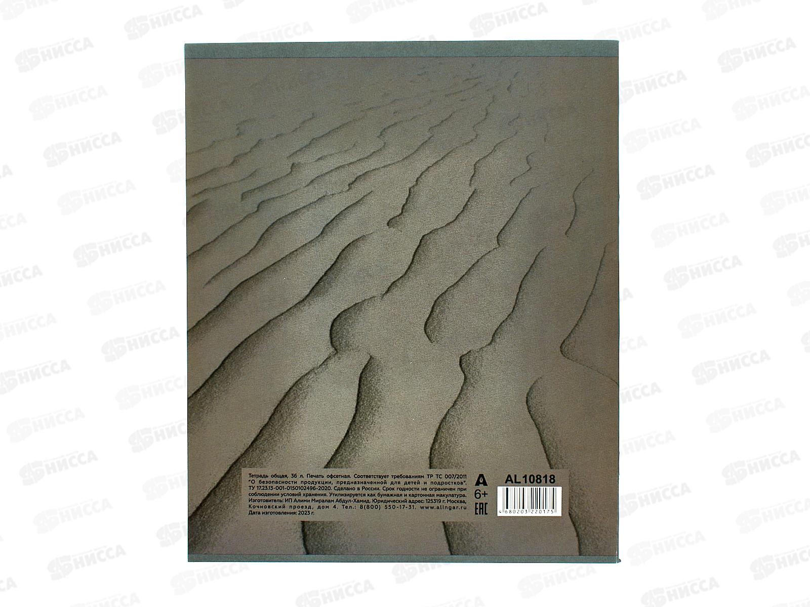 Тетрадь 36листов  клетка  Alingar &quotExtreme driving&quot А5 4 дизайна AL10818 *12/72