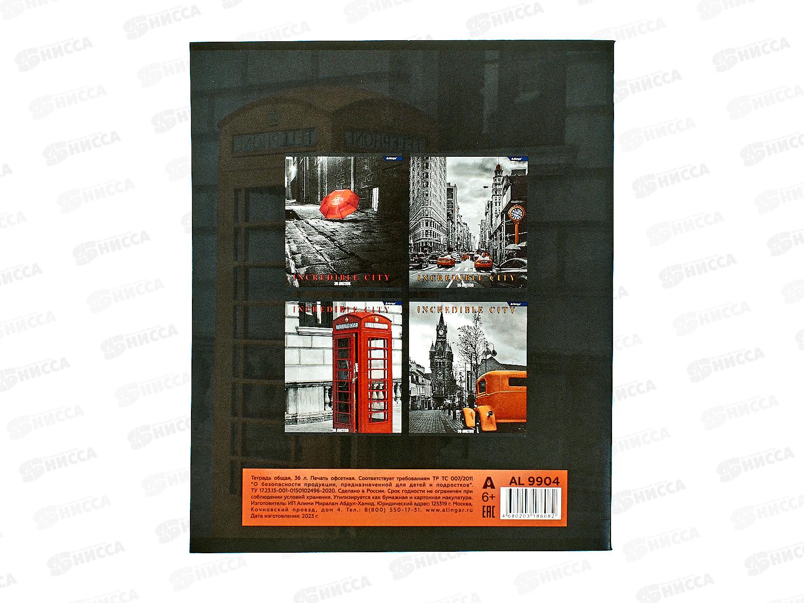 Тетрадь 36листов клетка  Alingar &quotГородские виды&quot А5 4 дизайна AL9904 *12/72