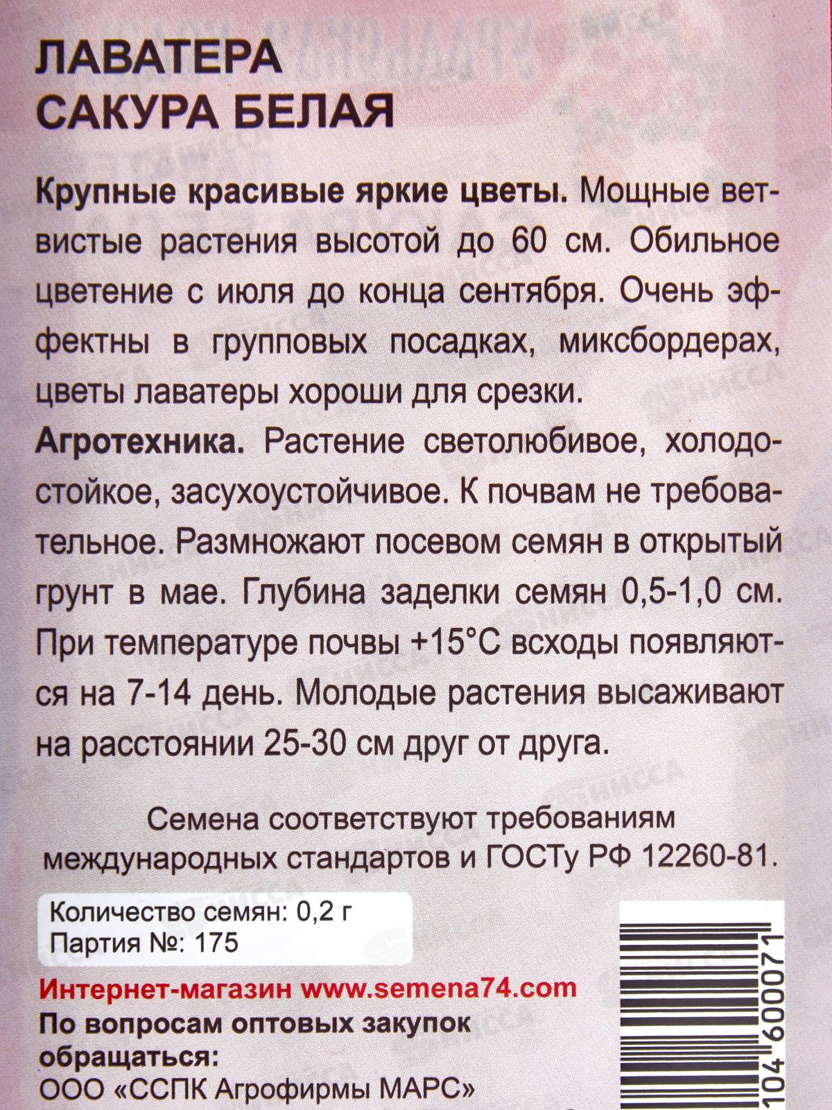 Лаватера Сакура белая Евро  *10 УрД +