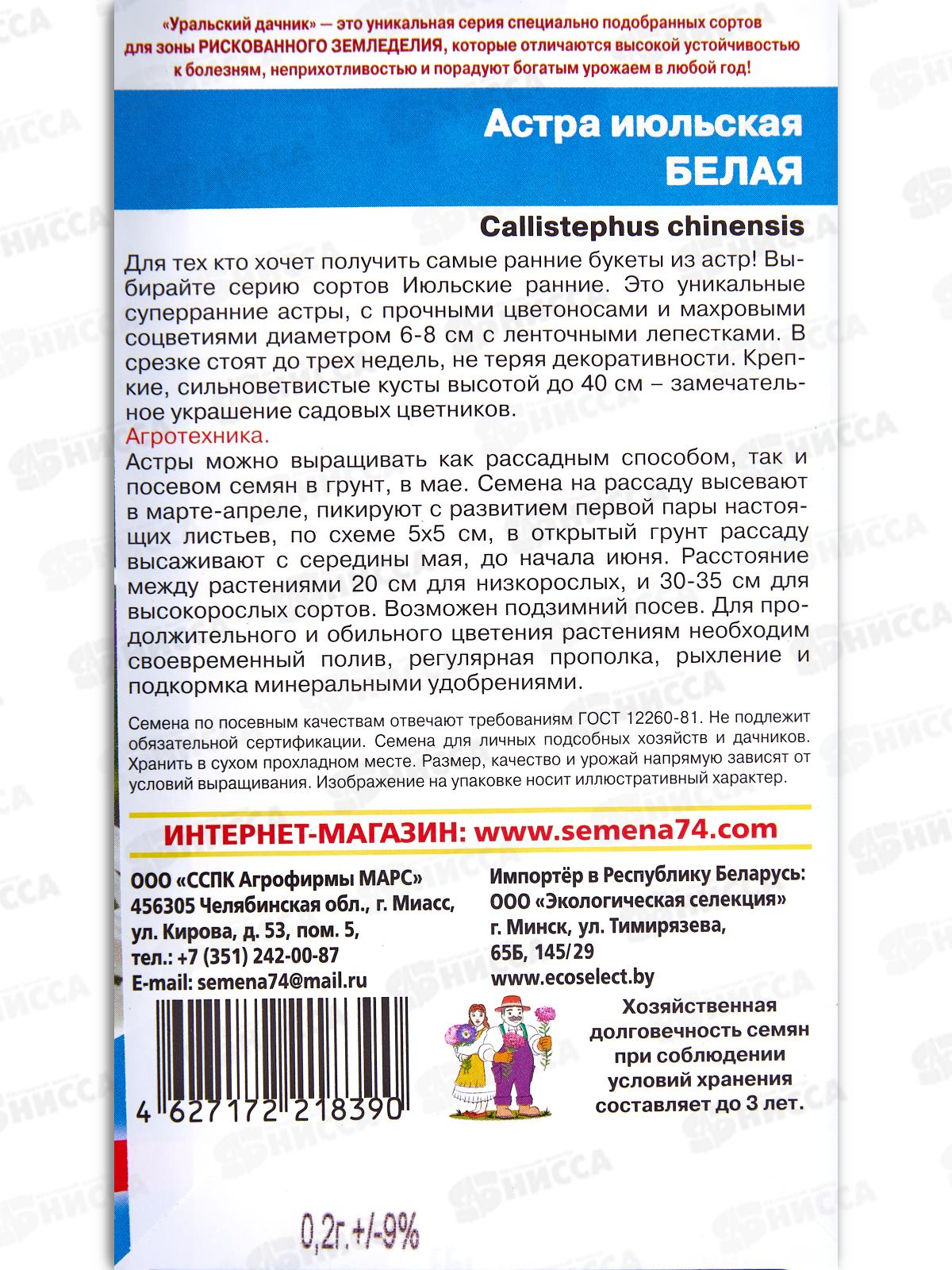 Астра Июльская Белая Евро *10 УрД