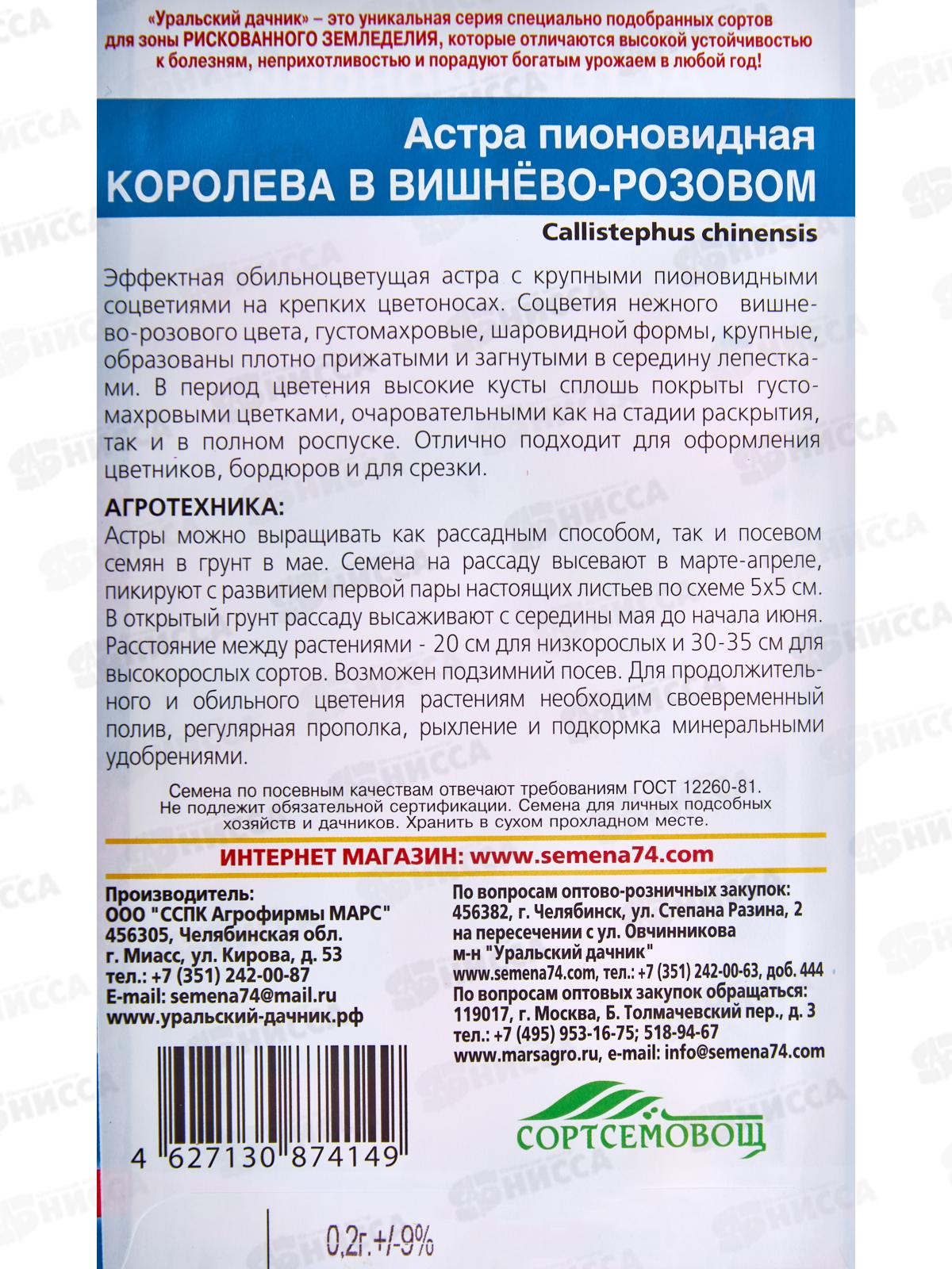Астра Королева в вишнево-розовом  Евро *10 УрД +