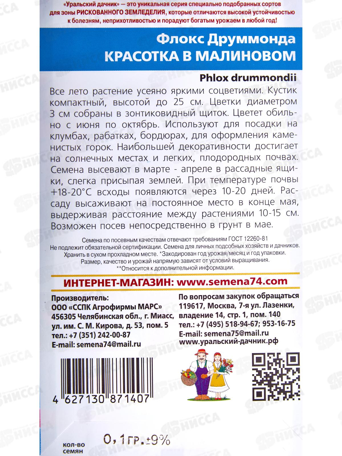 Флокс друммонда Красотка в малиновом Евро *10 УрД +