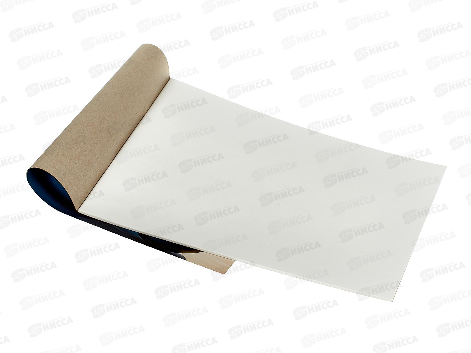 Альбом для рисования 24л ПГС Мото *20