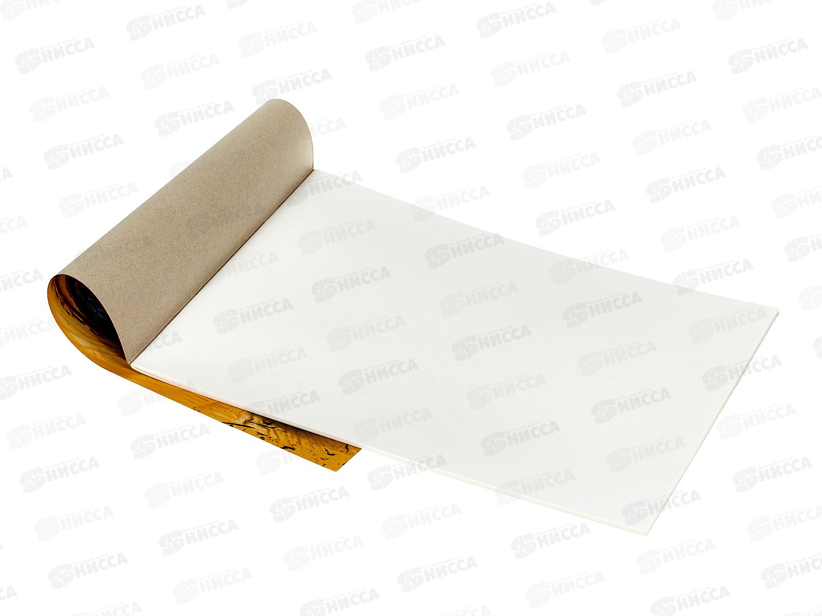 Альбом для рисования 24л ПГС Танки *20