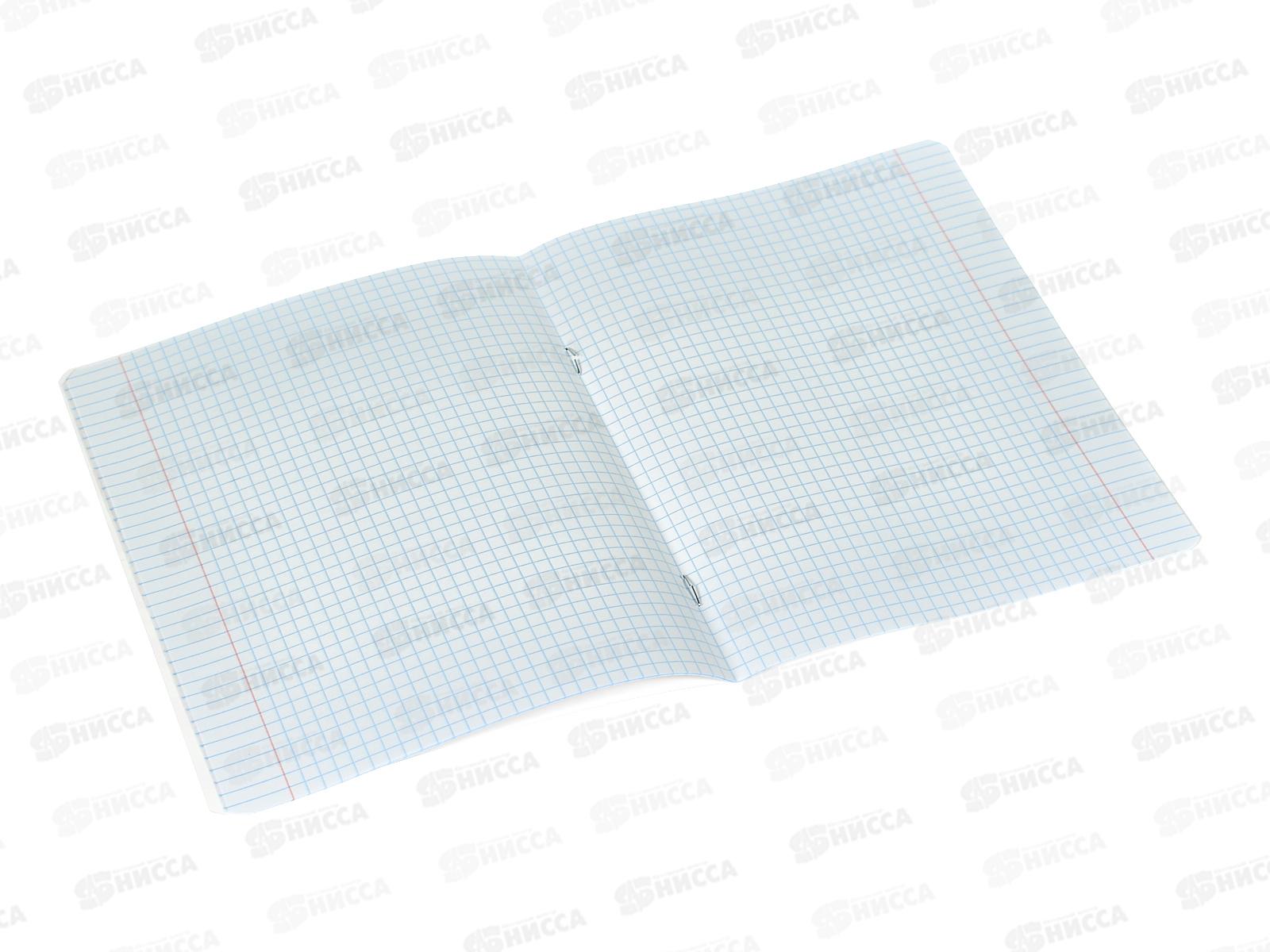 Тетрадь 12листов клетка АЛЬТ Карманые животные,7-12-936/1*10/160