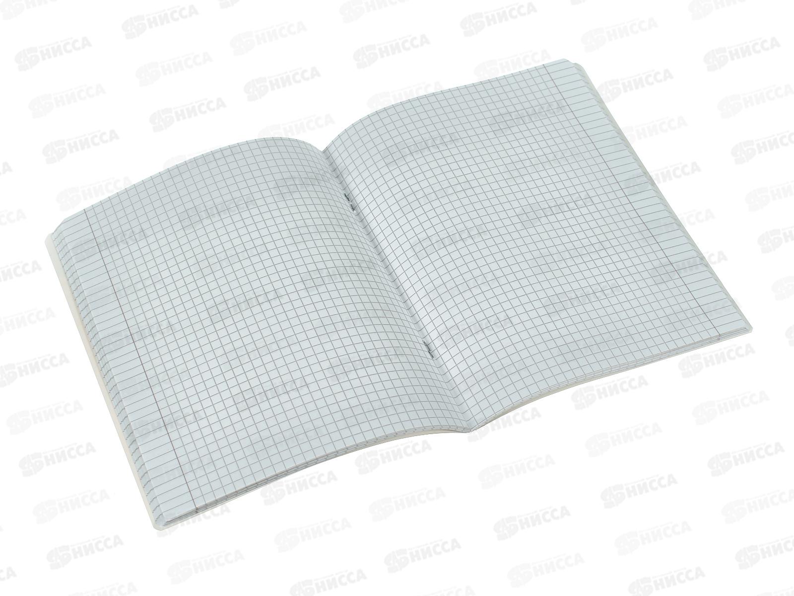 Тетрадь 48листов клетка ПЗБМ Пинк Аниме, 024970  *5/50