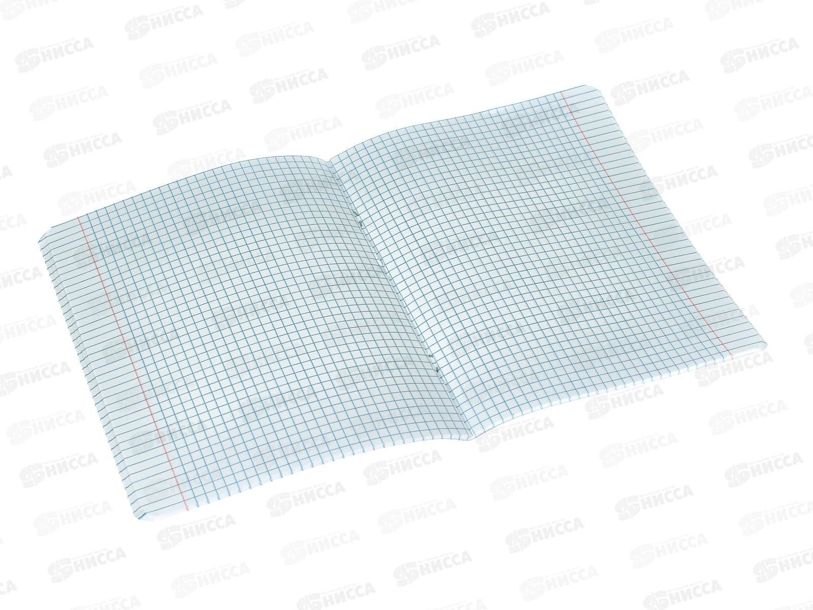 Тетрадь 48листов клетка. АКАД Яркие авто, EAC-14158/4 *20/60