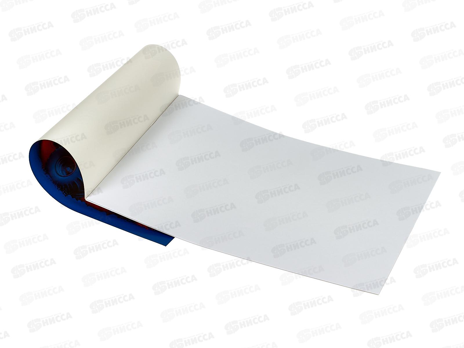 Альбом для рисования 8л BG Monster, асс.,  10947*30/120