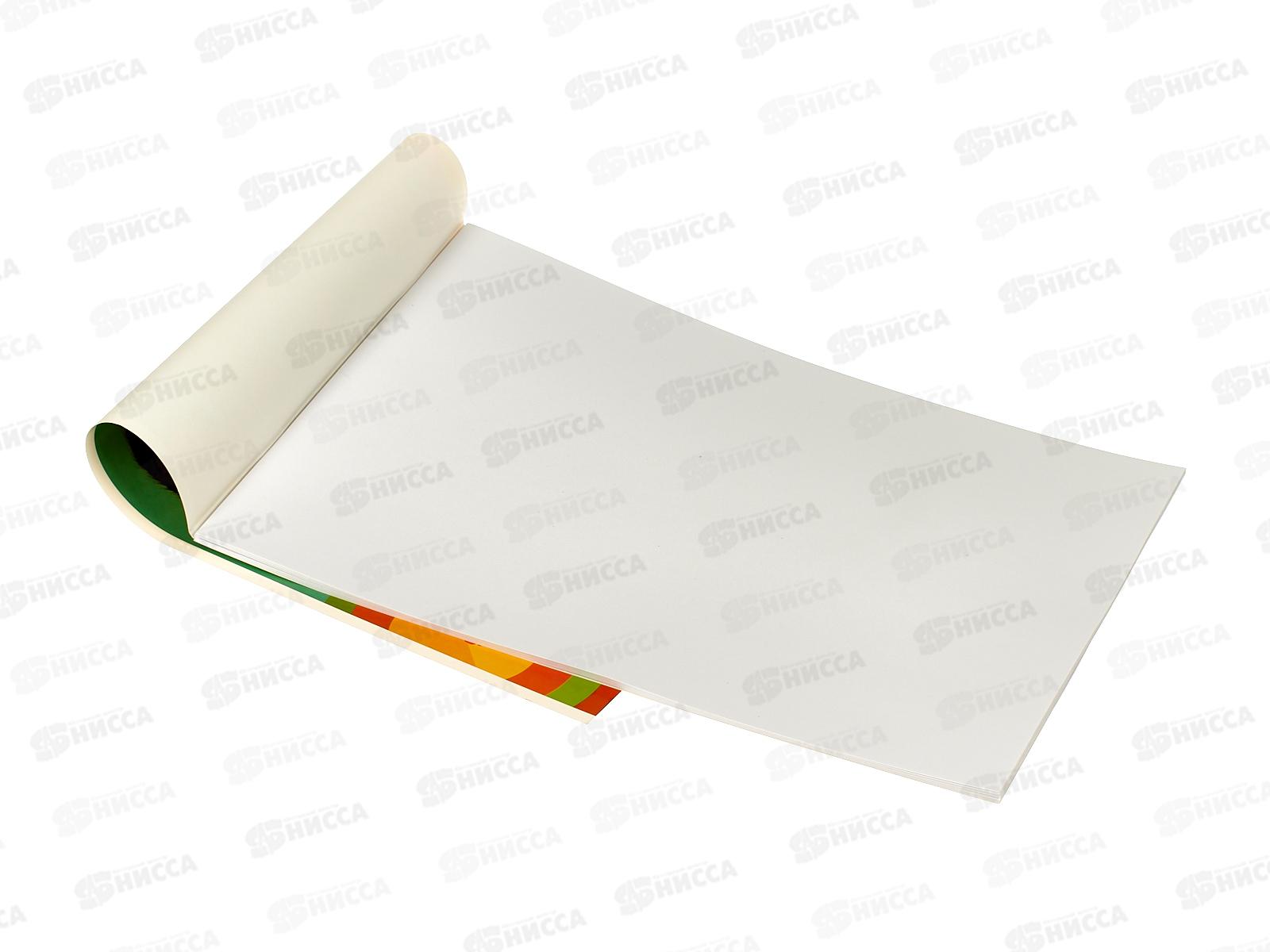 Альбом для рисования 24л МП Чебурашка,53052*35