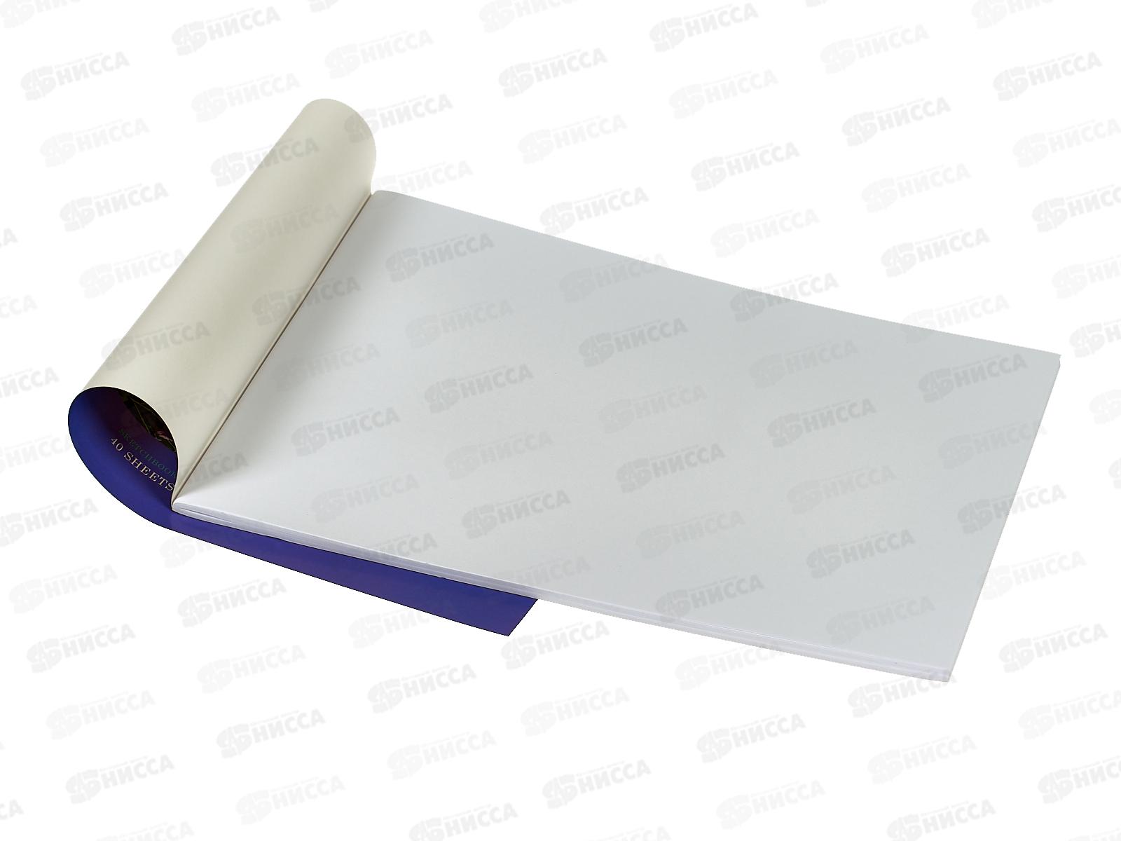 Альбом для рисования 40л BG Птицы в саду,12017*24