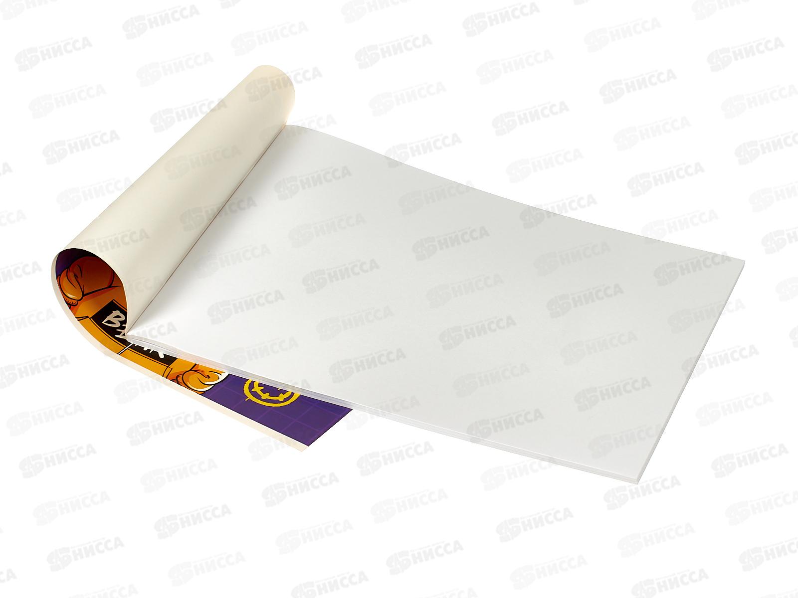 Альбом для рисования 40л МП Мишка в деле, 60390 *5/30