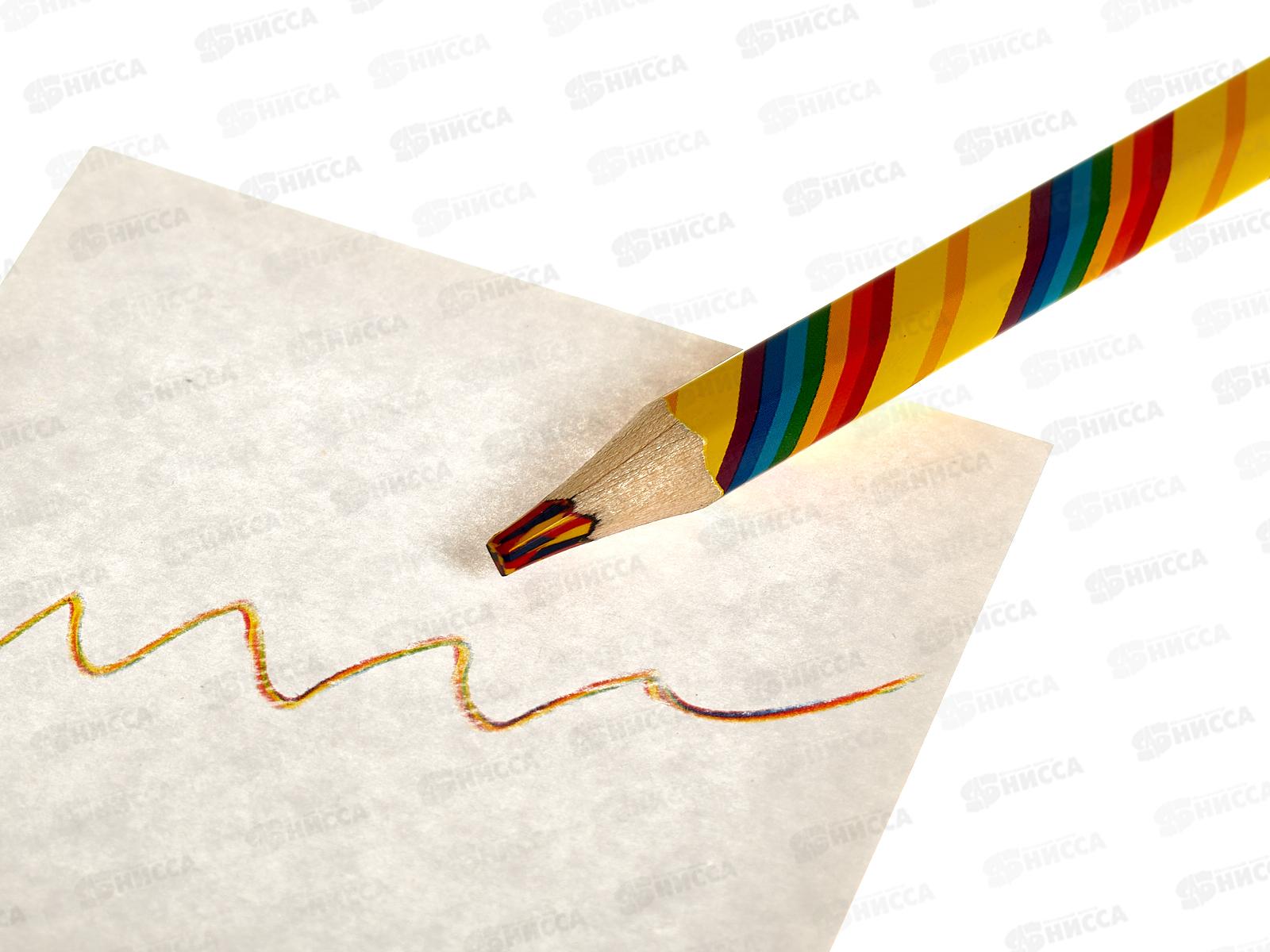 Карандаш многоцветный грифель МП Енот и радуга,утолщ.,11659*30