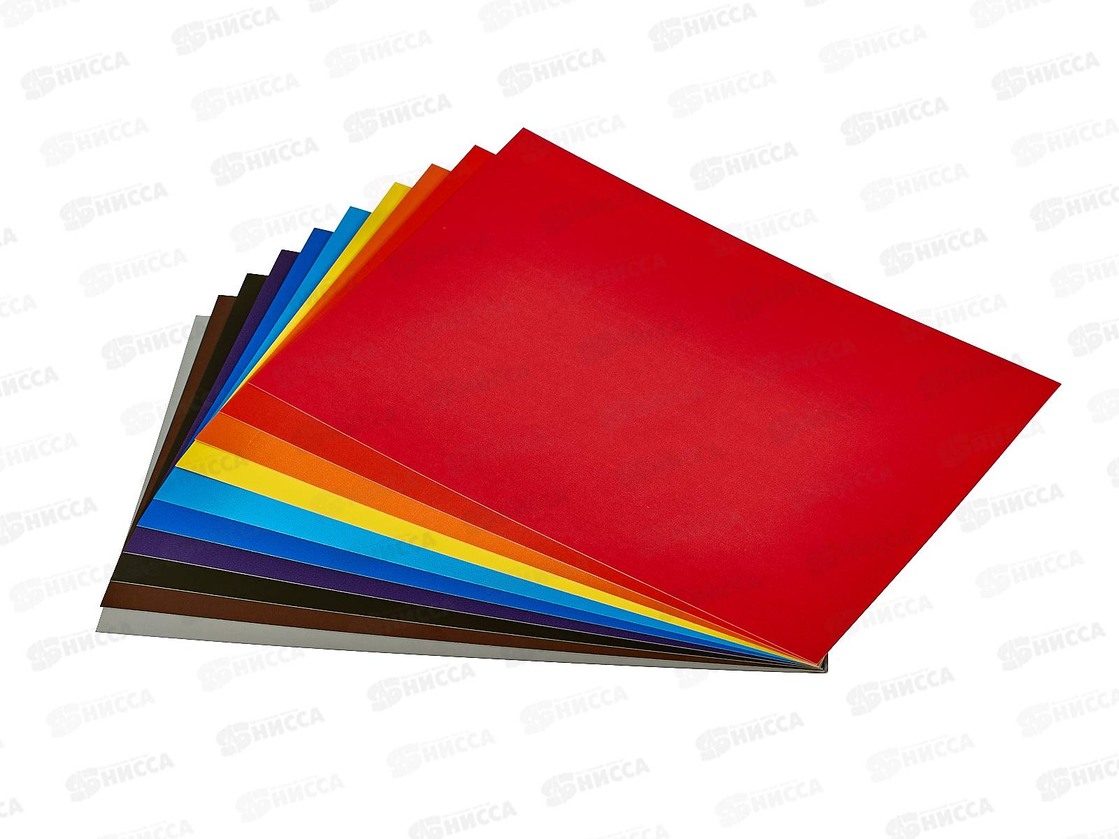 Цветной картон 10л 10цв МП Енот в волшебн.мире,двустор.13982