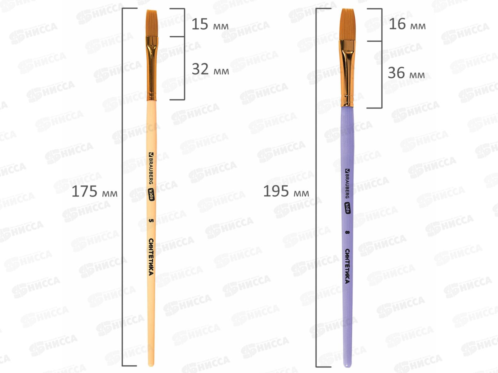 Кисть BRAUBERG kids синтетика 5шт (круг.№1,2,5 плоск.№ 5,8) 201075 *12