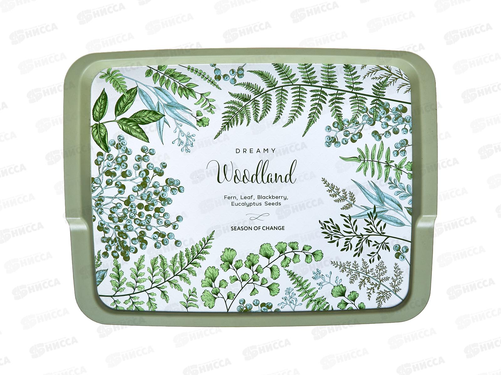 Поднос 425*320*22мм с декором Зеленый 431245209 *14  БП